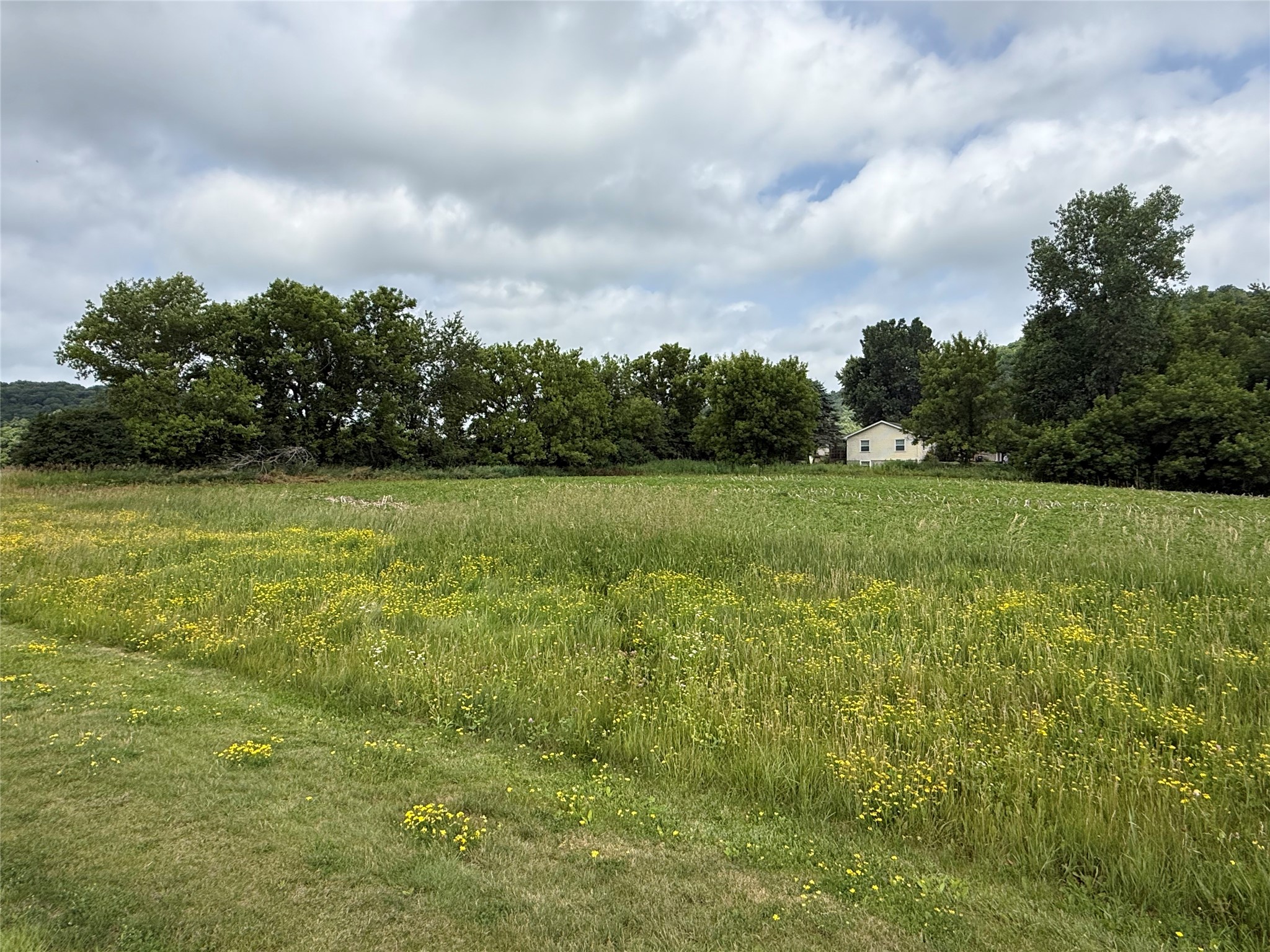 Tbd Martin Street Property Photo 4