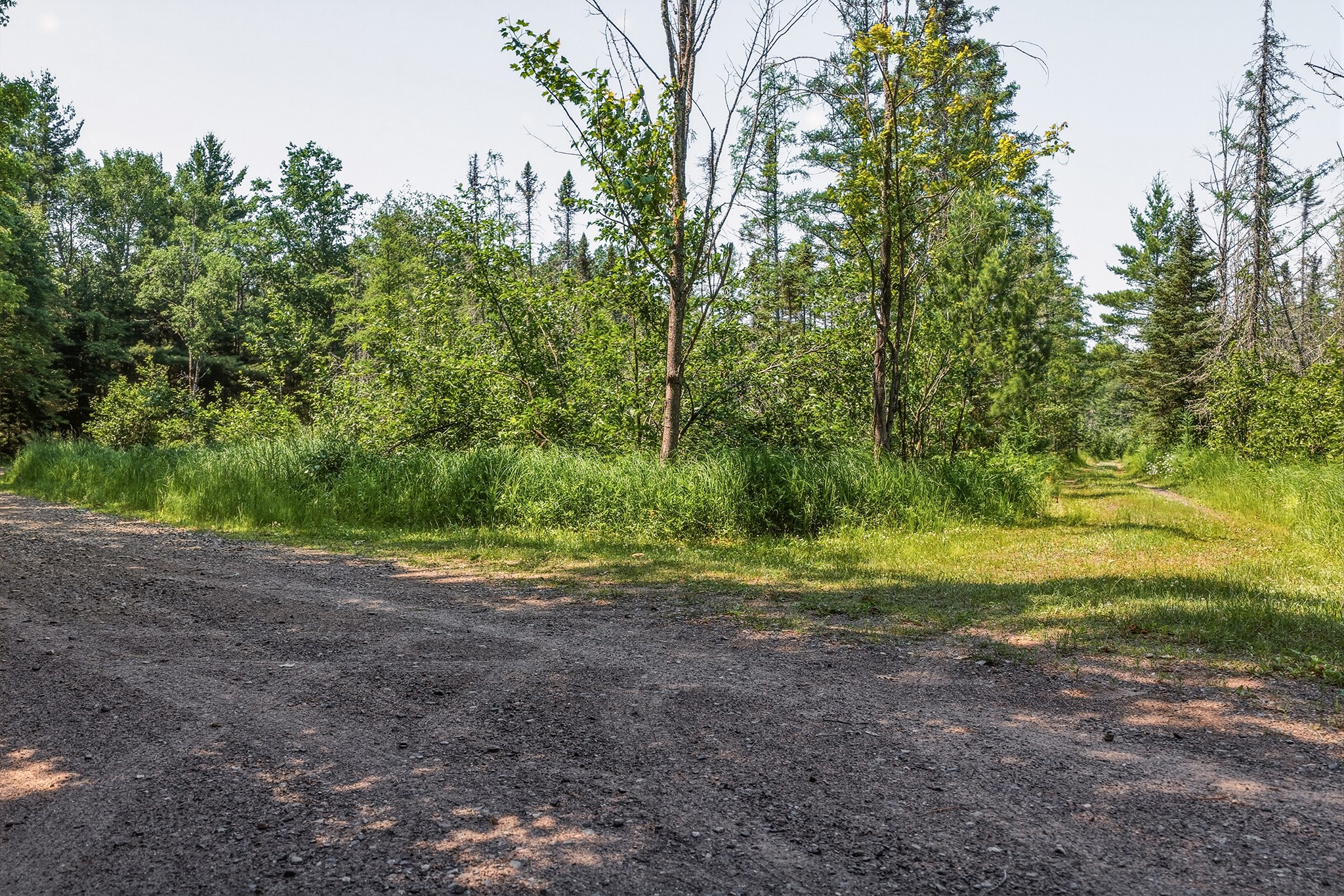 9292 W Duncan Point Road Property Photo 3