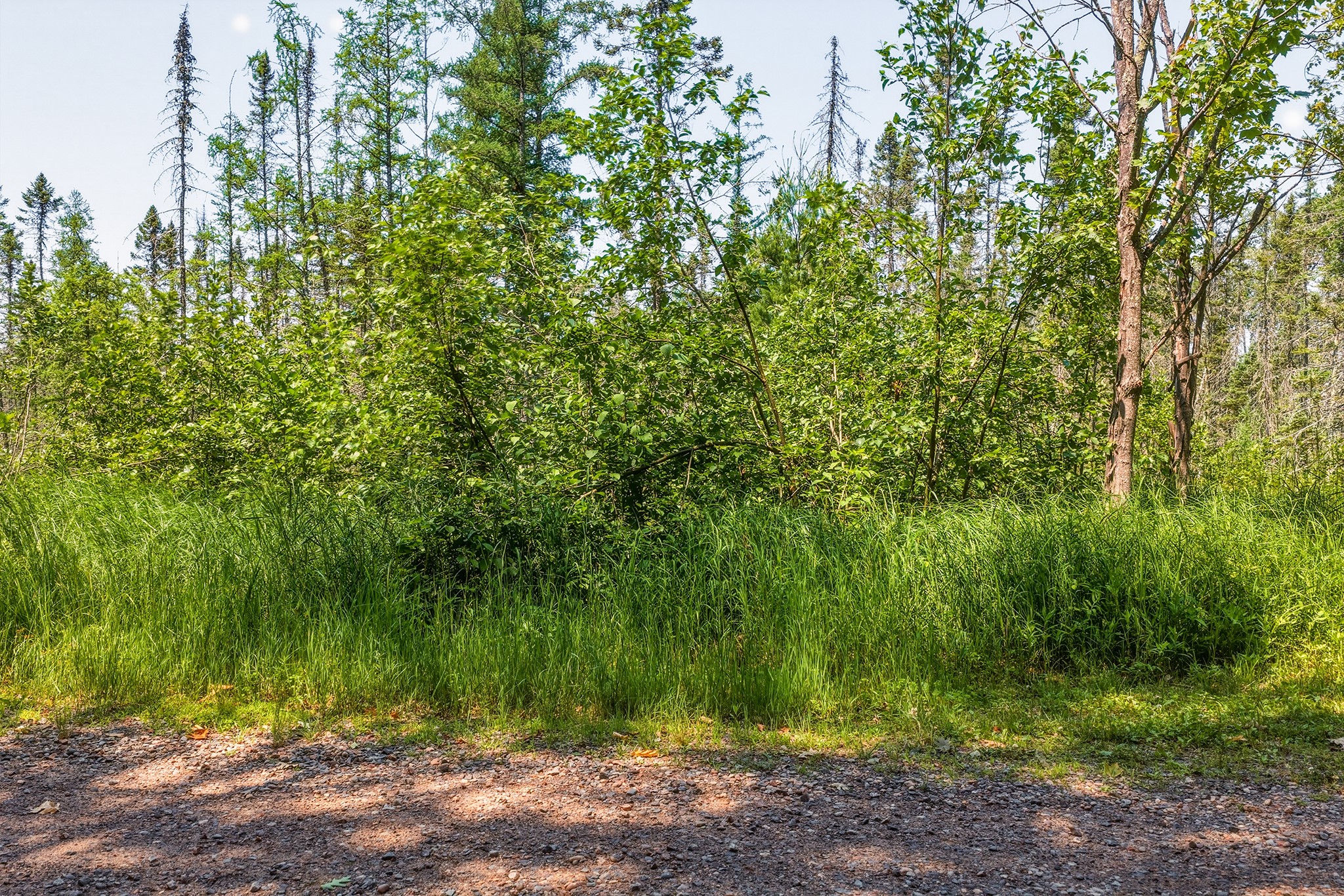 9292 W Duncan Point Road Property Photo 5