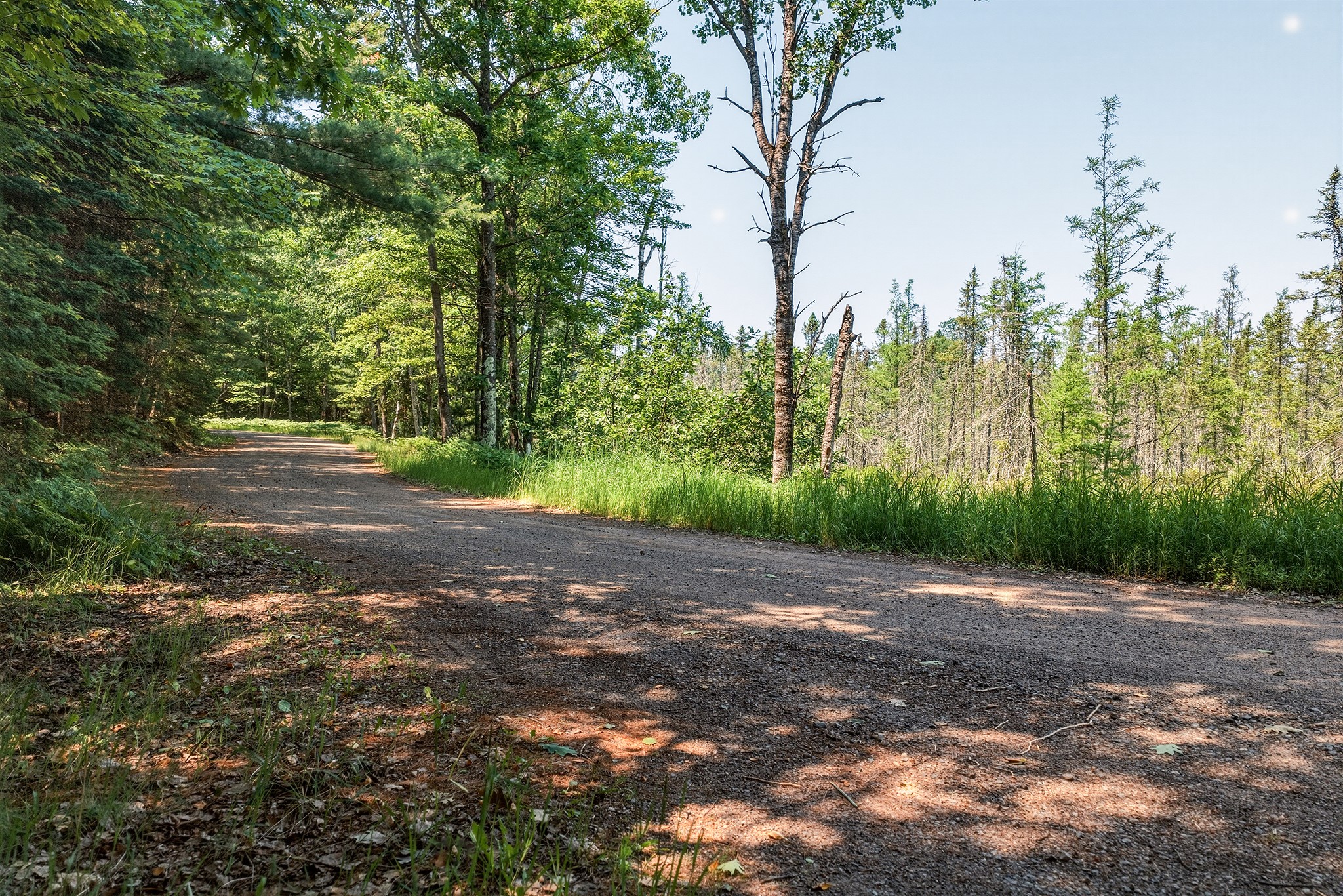 9292 W Duncan Point Road Property Photo 21