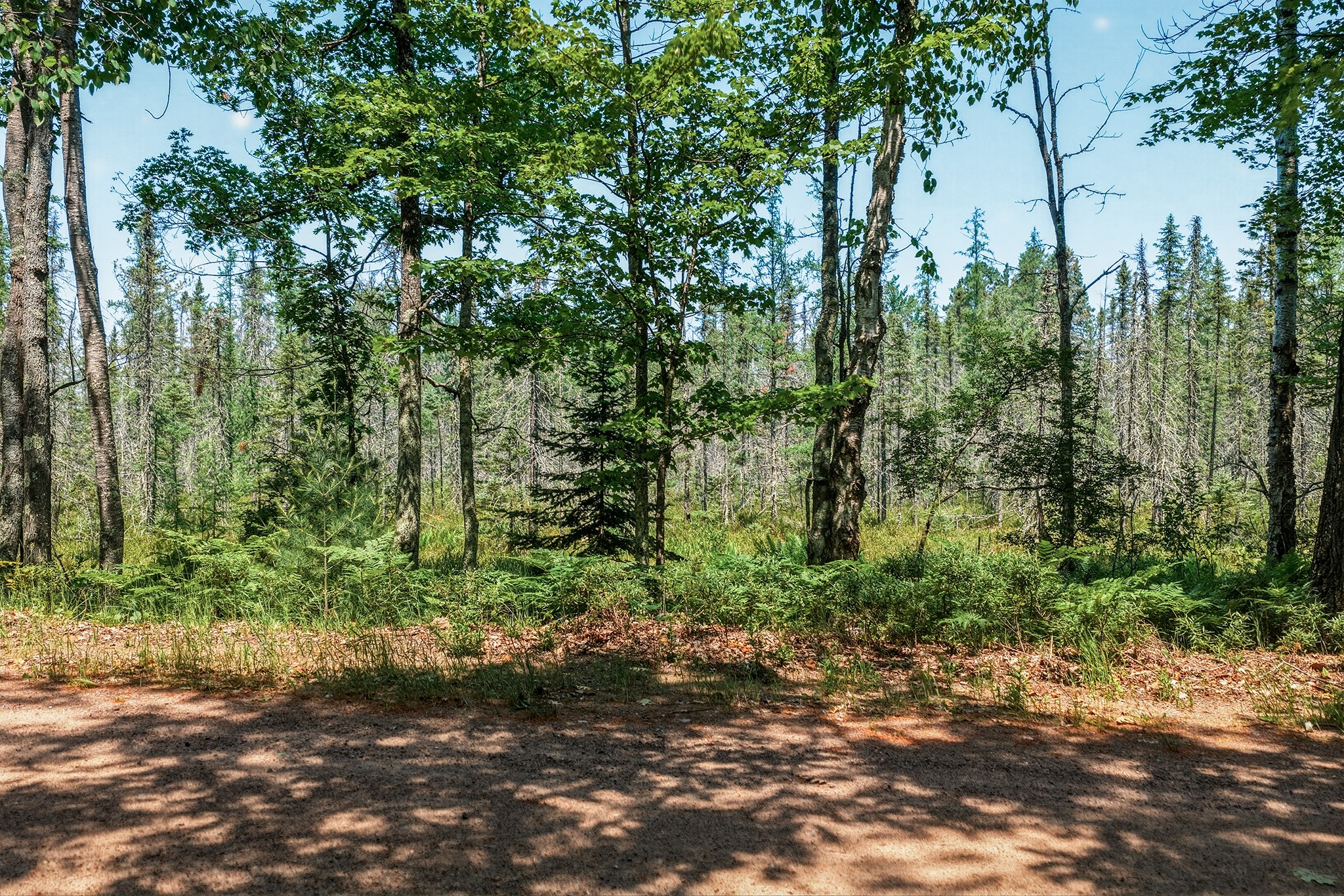 9292 W Duncan Point Road Property Photo 27