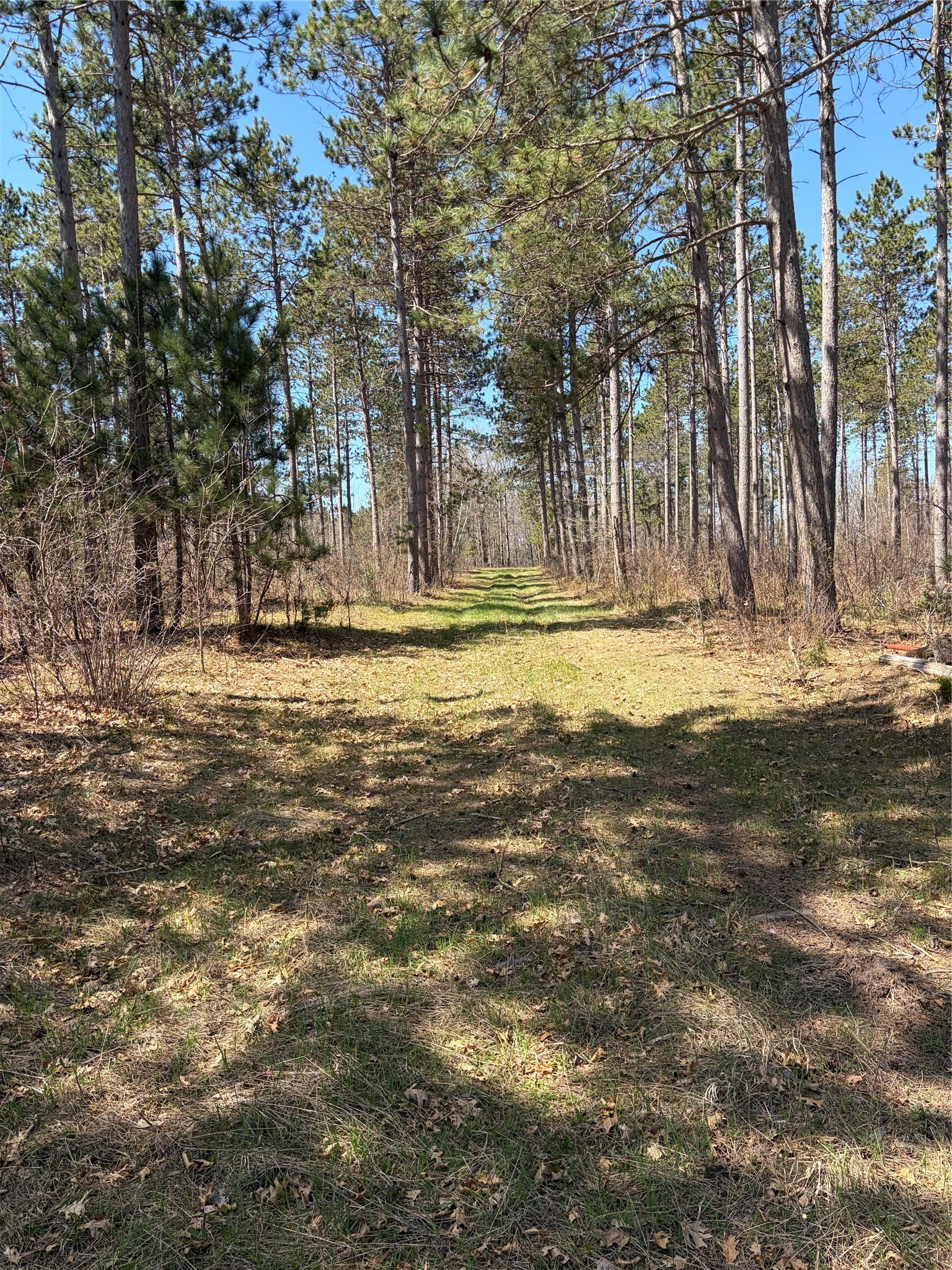 Tbd Aa Mann Road Property Photo 3