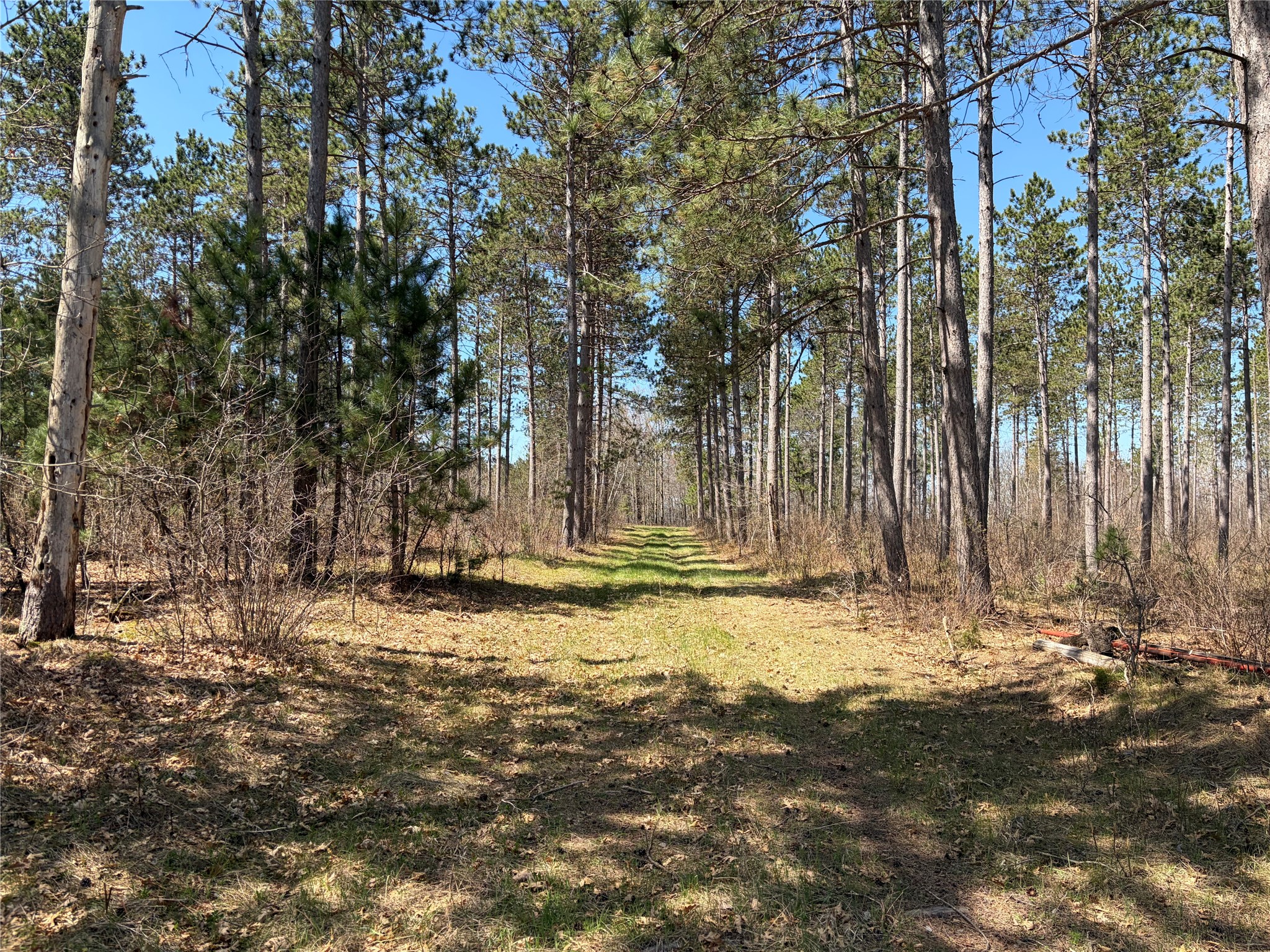 Tbd Aa Mann Road Property Photo 4