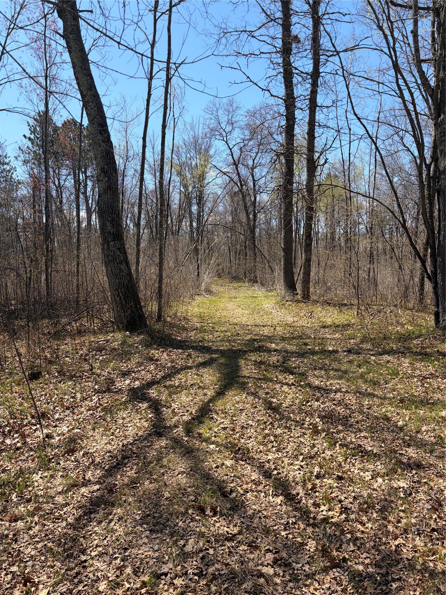 Tbd Aa Mann Road Property Photo 5