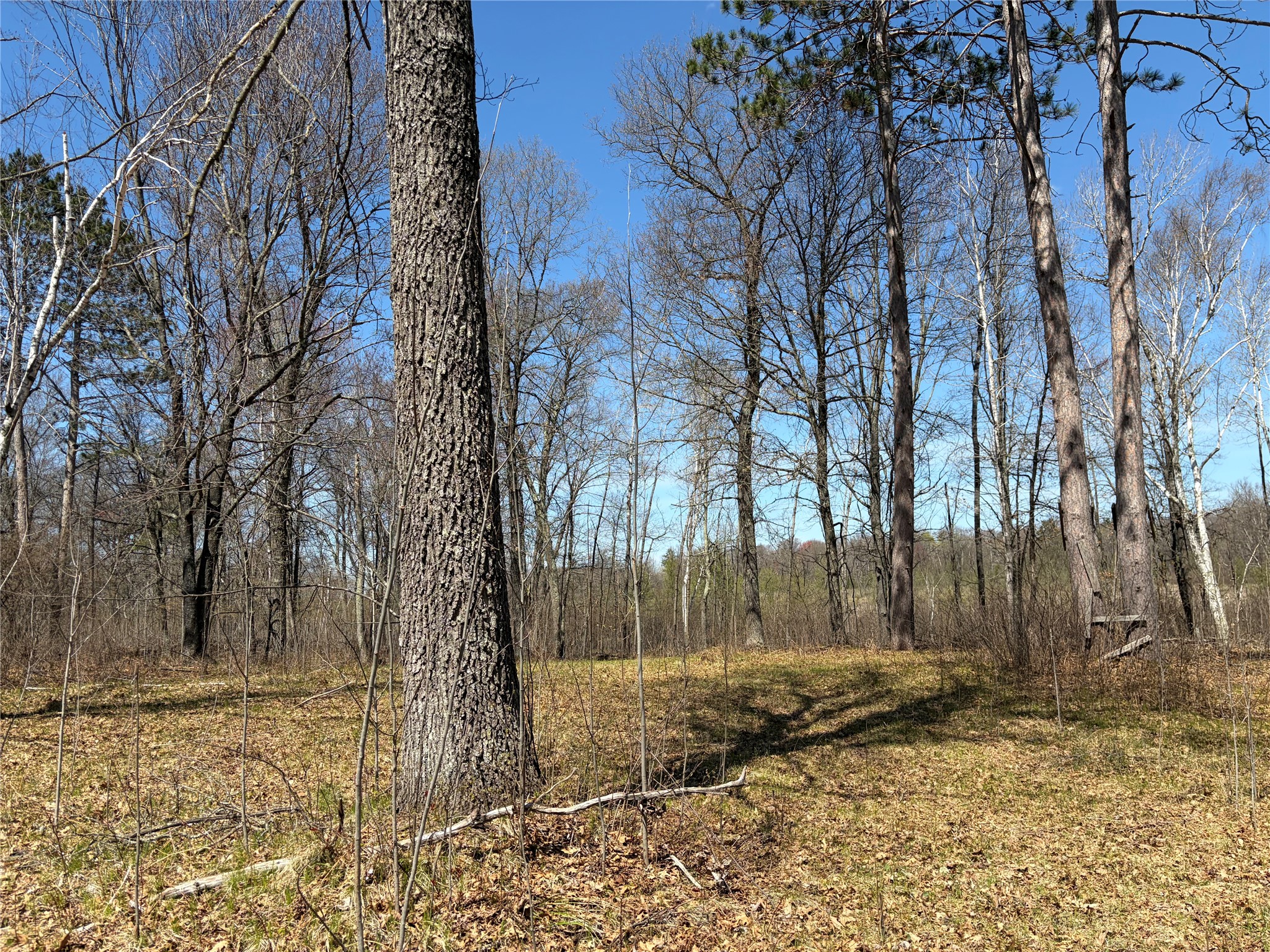 Tbd Aa Mann Road Property Photo 6