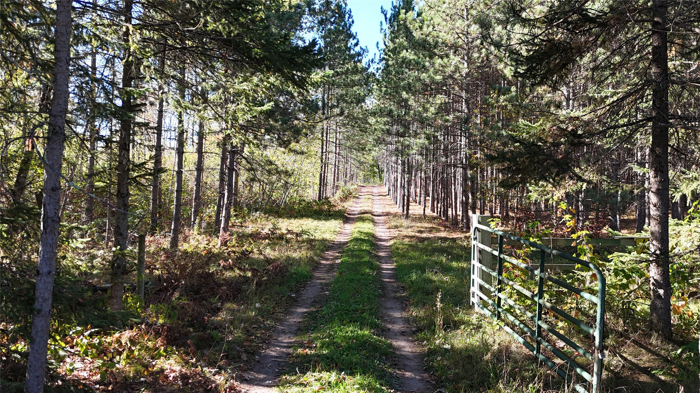 Tbd Cc Mann Road Property Photo 2