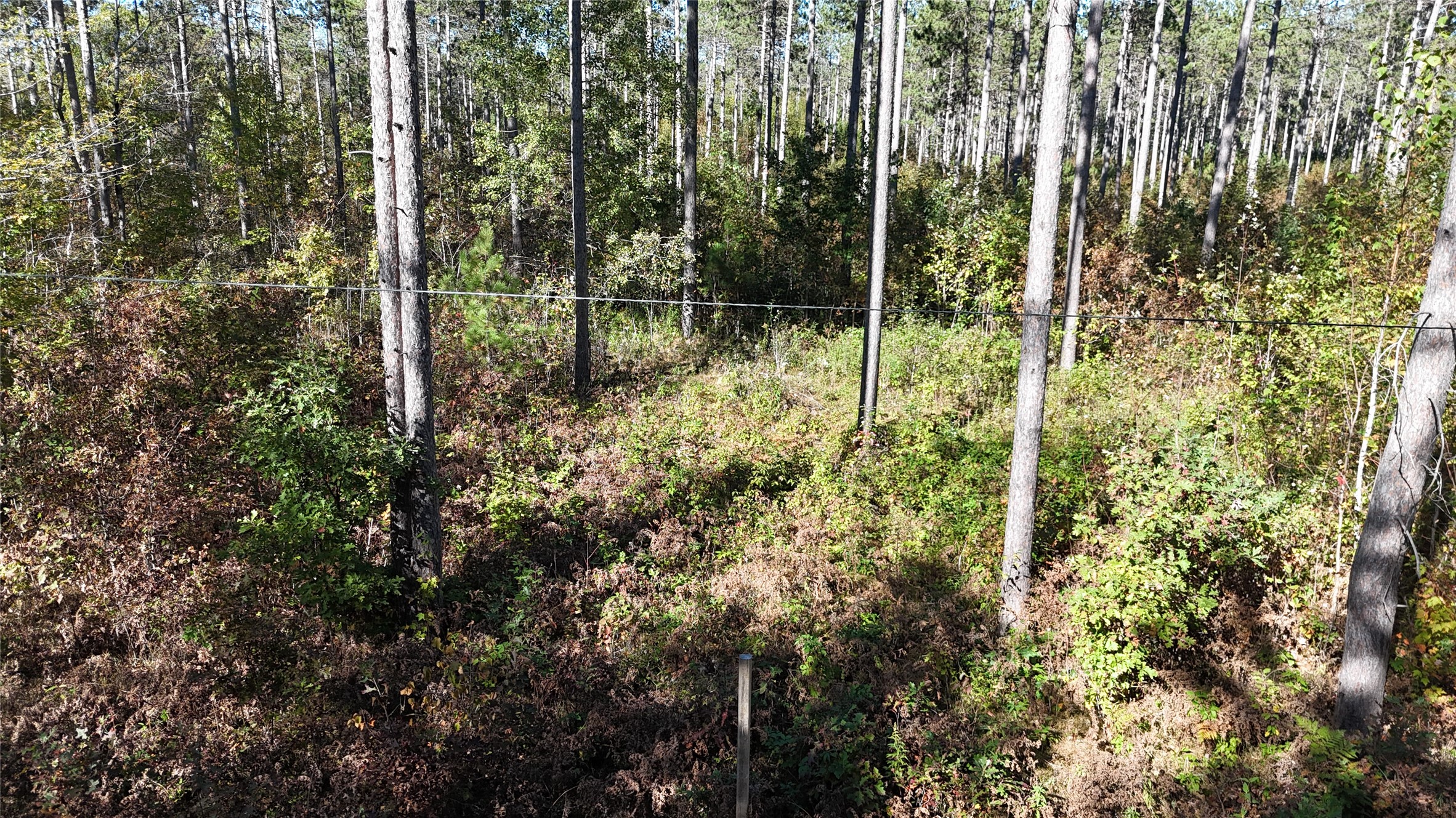 Tbd Cc Mann Road Property Photo 3