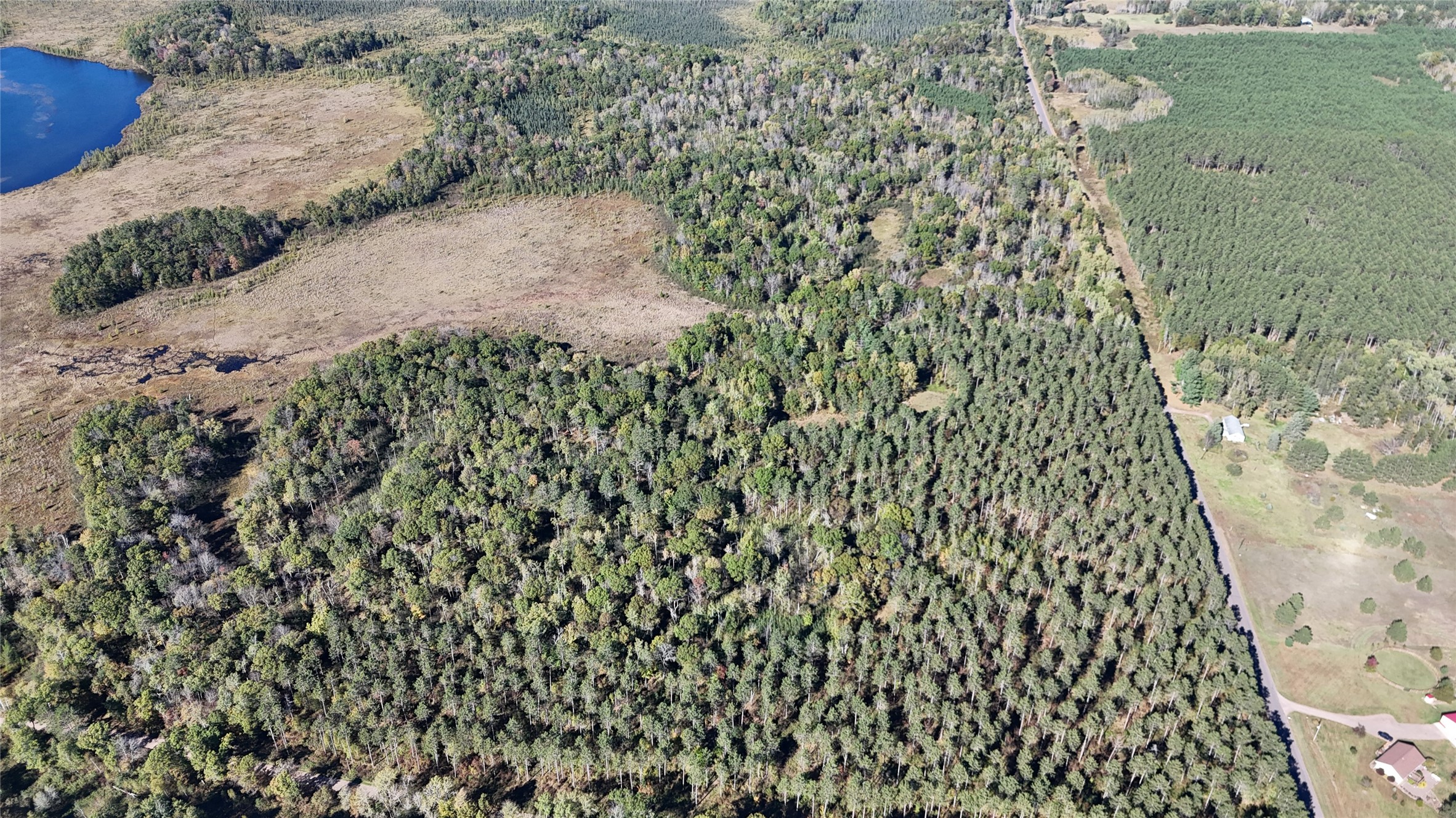 Tbd Cc Mann Road Property Photo 5