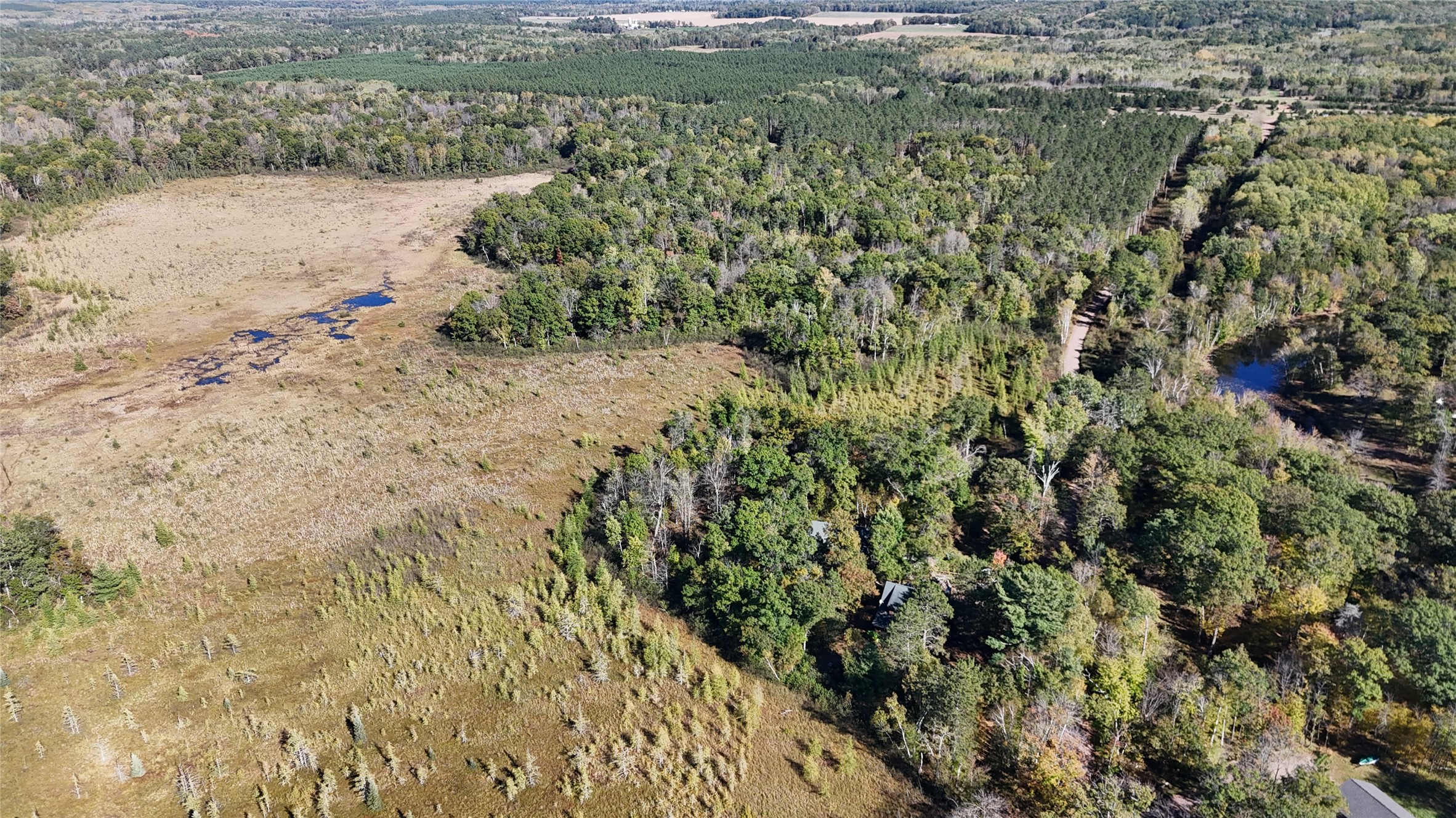 Tbd Bb Mann Road Property Photo 3