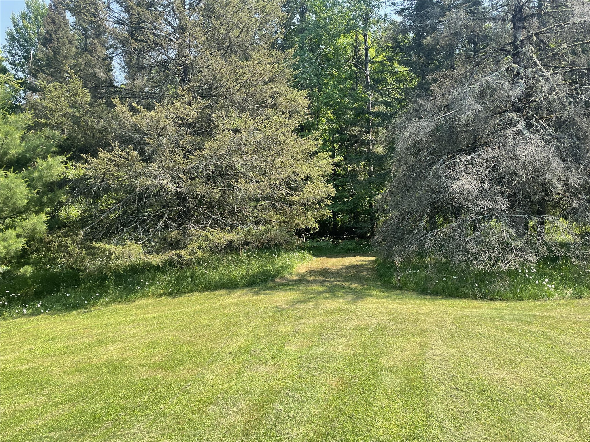 75782 Gear Road Property Photo 33
