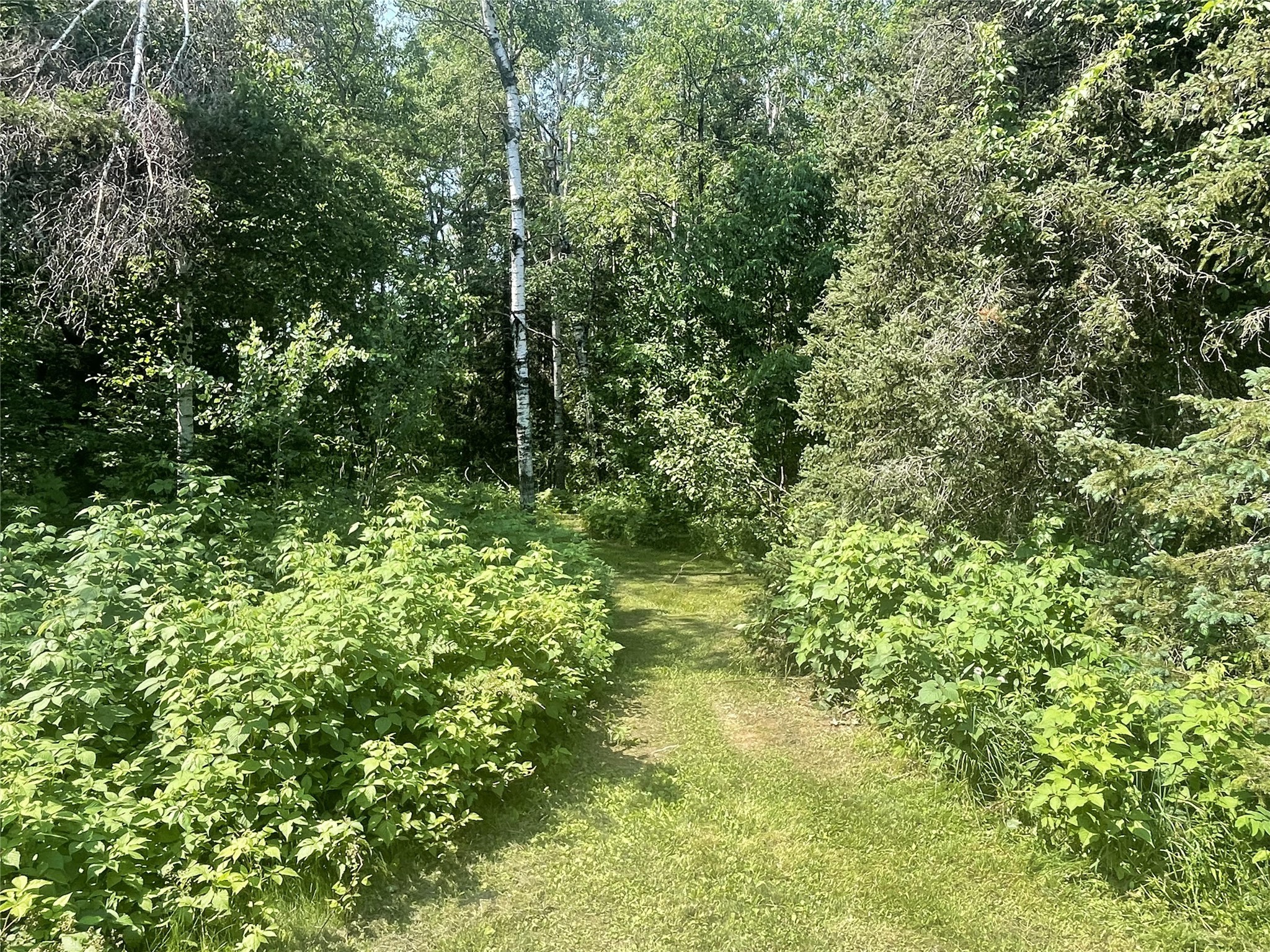 75782 Gear Road Property Photo 38