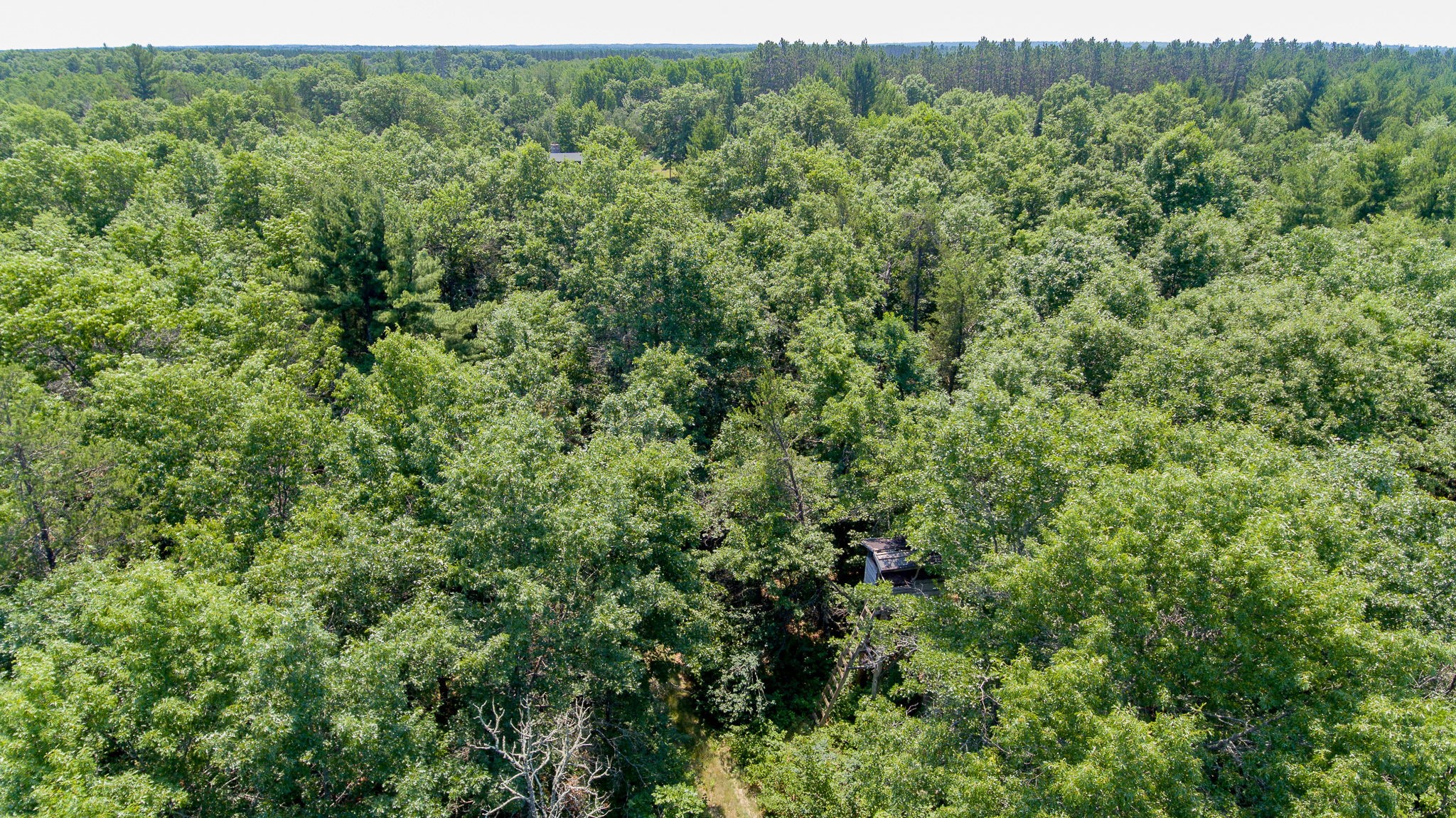 8998 N River Road Property Photo 46