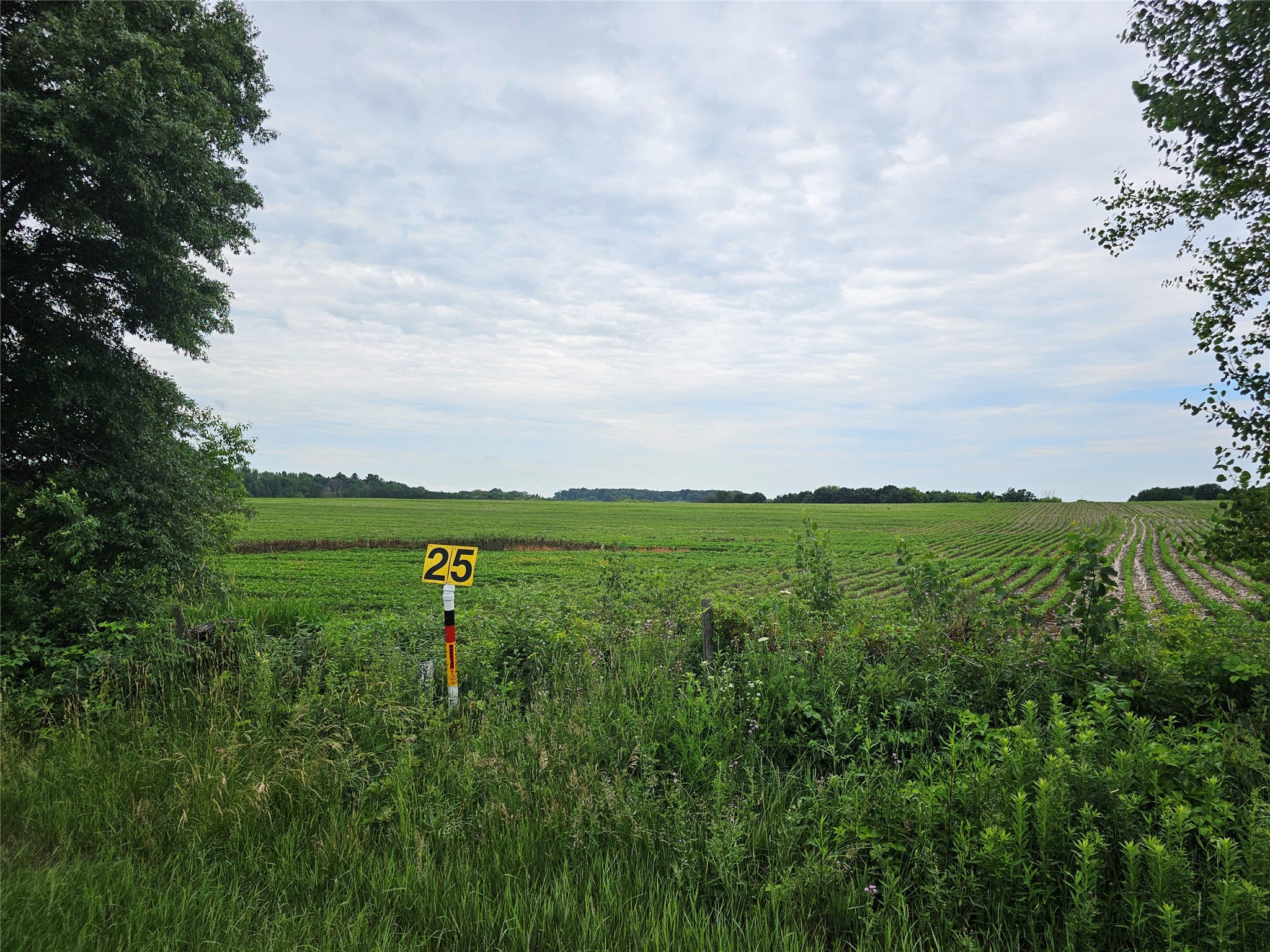 40 Acres County Road W Property Photo 4