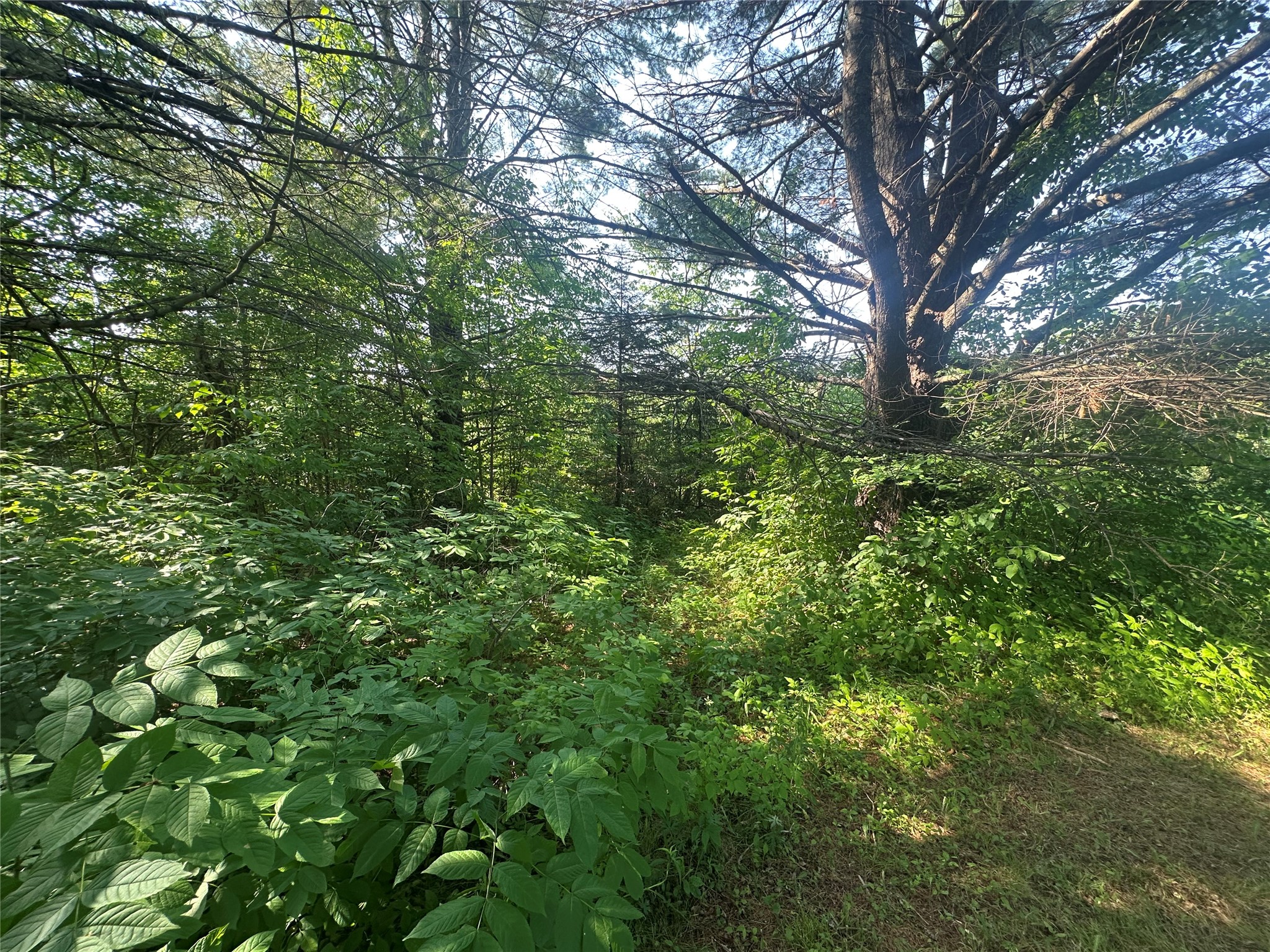 6901 N Zett Road Property Photo 10