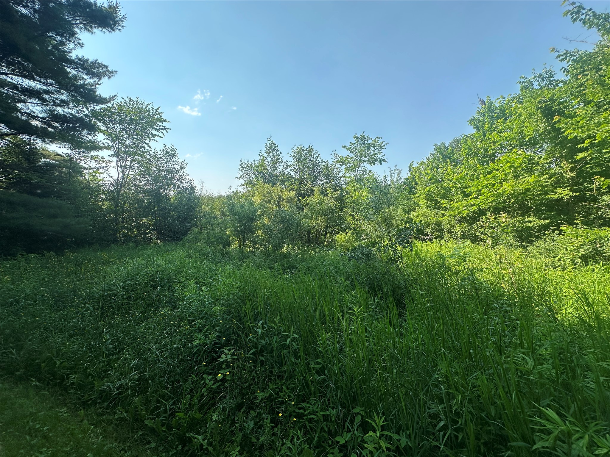6901 N Zett Road Property Photo 12
