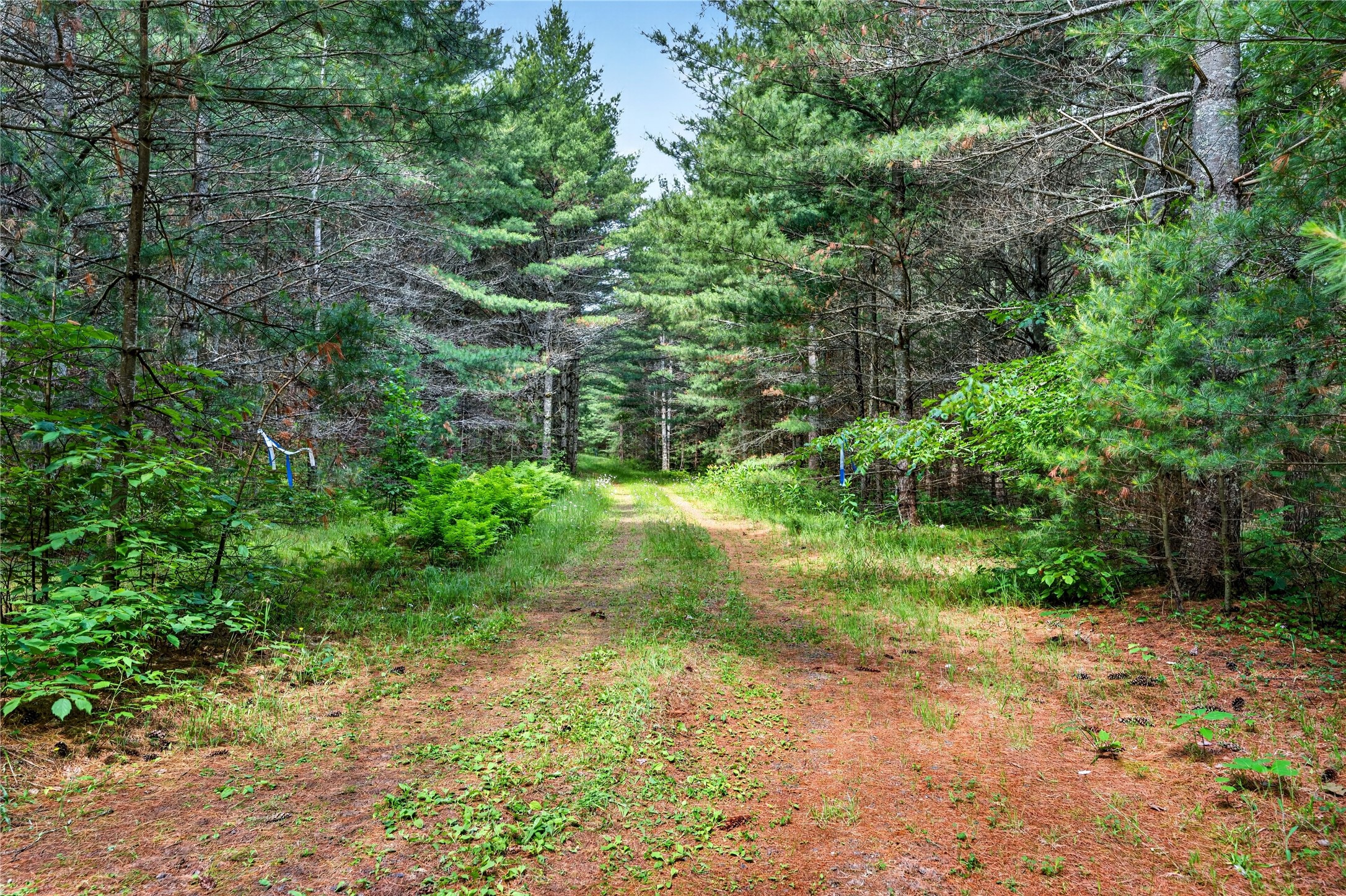 Lot A 9 Acres Us Highway 63 Property Photo 4