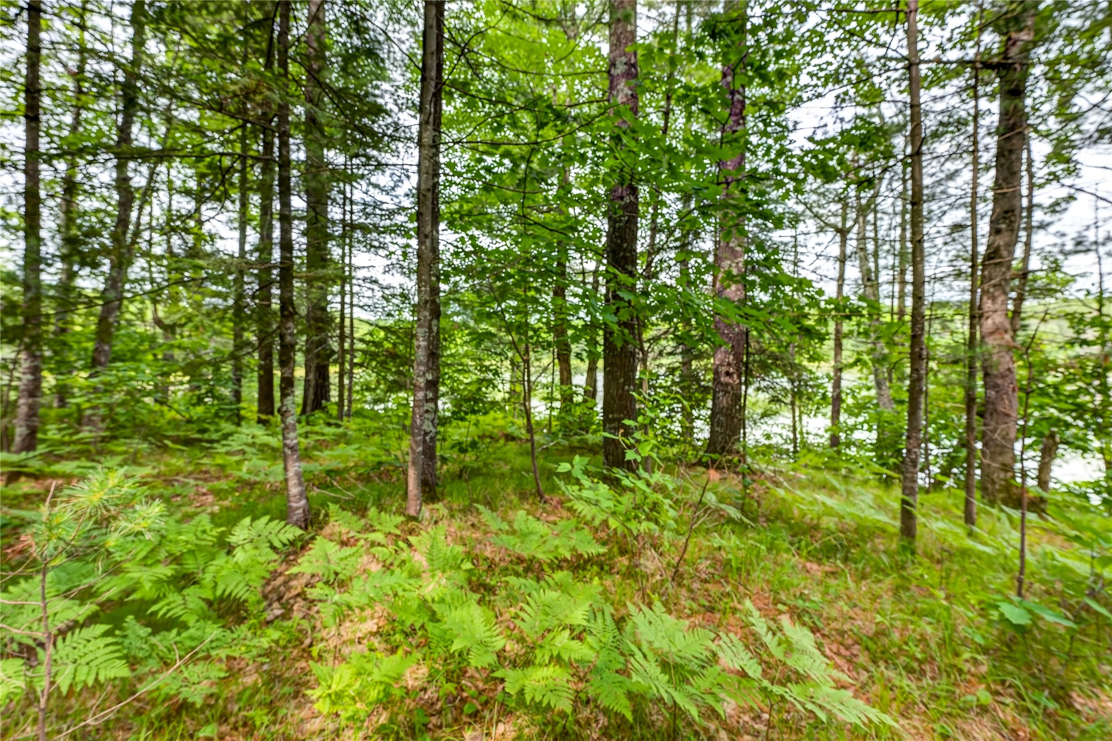 Lot A 9 Acres Us Highway 63 Property Photo 16