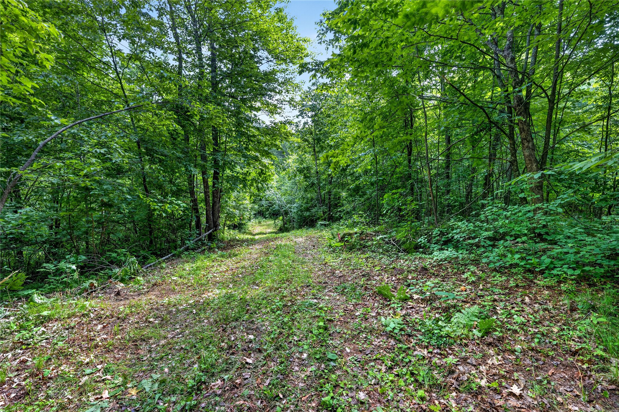 Lot A 9 Acres Us Highway 63 Property Photo 19