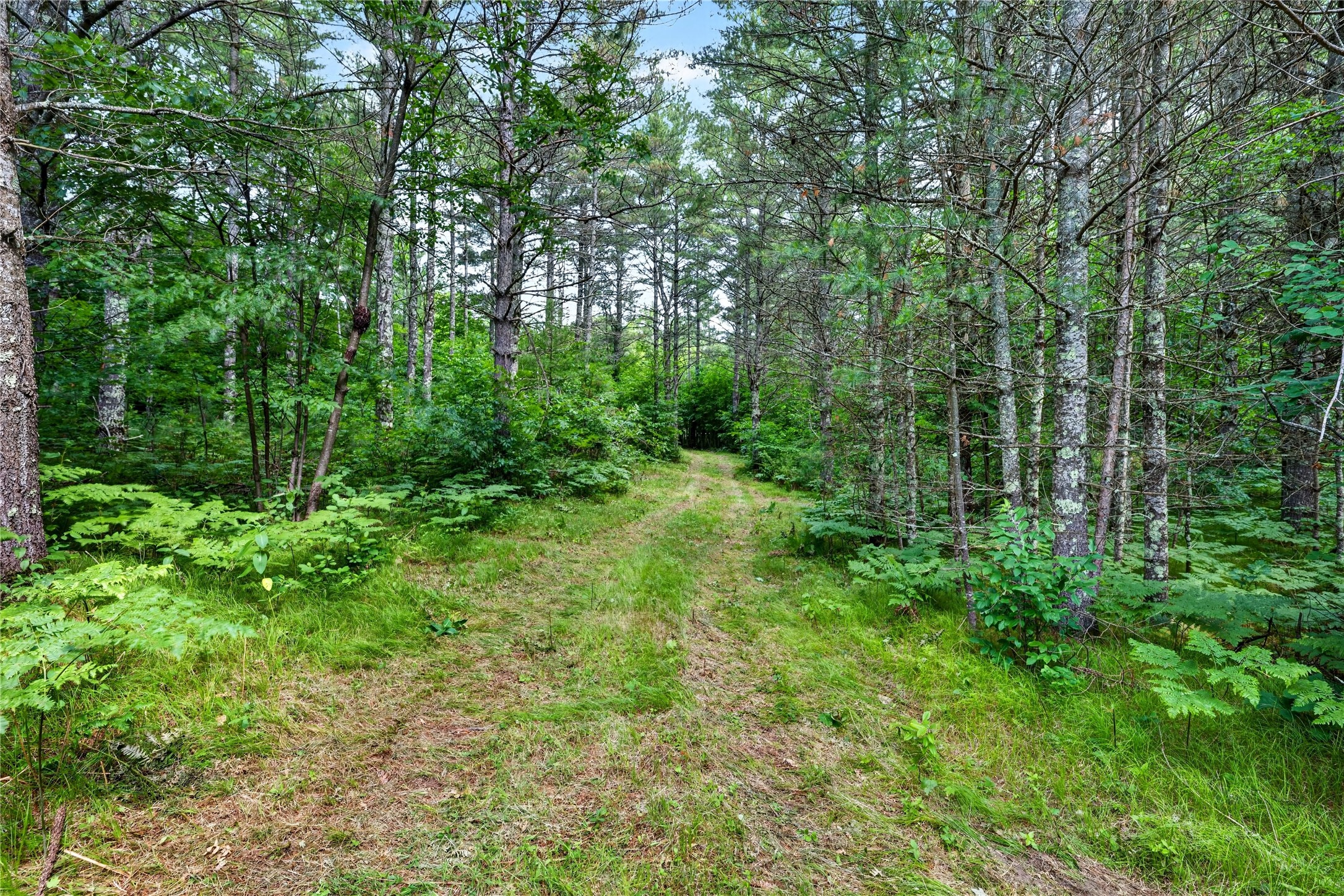 Lot A 9 Acres Us Highway 63 Property Photo 20