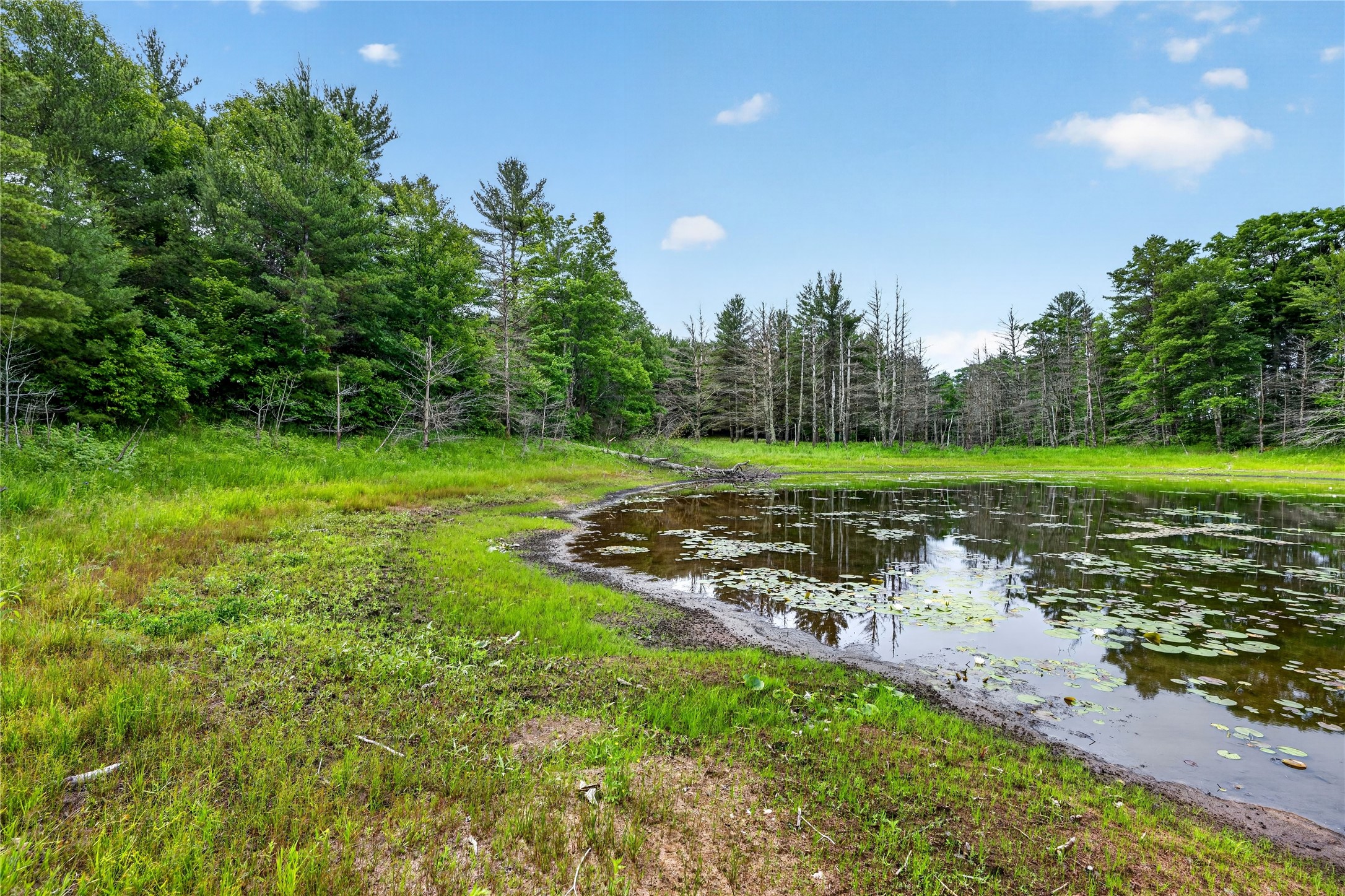 Lot B 9 Acres Us Highway 63 Property Photo 16