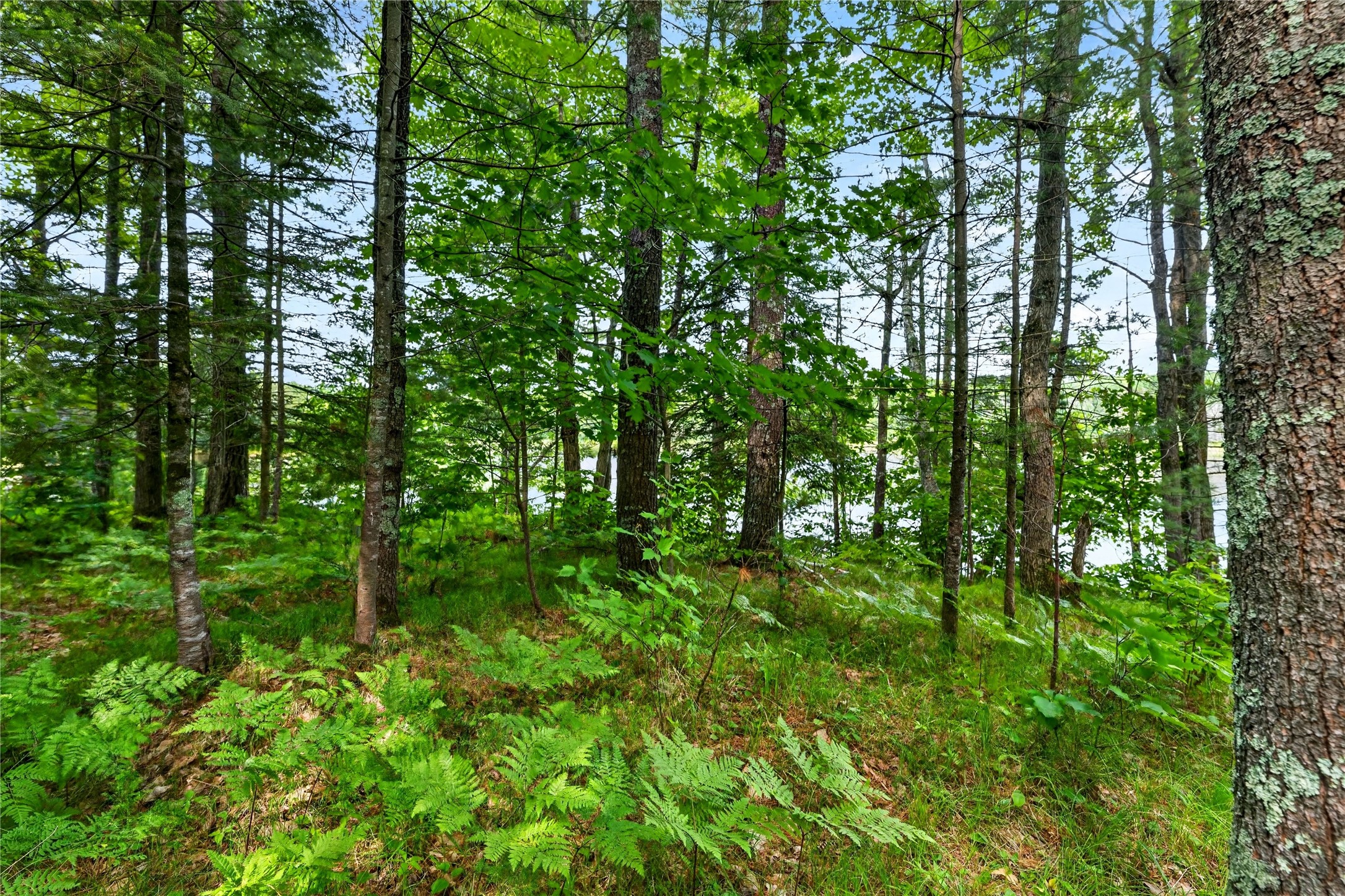 Lot B 9 Acres Us Highway 63 Property Photo 19