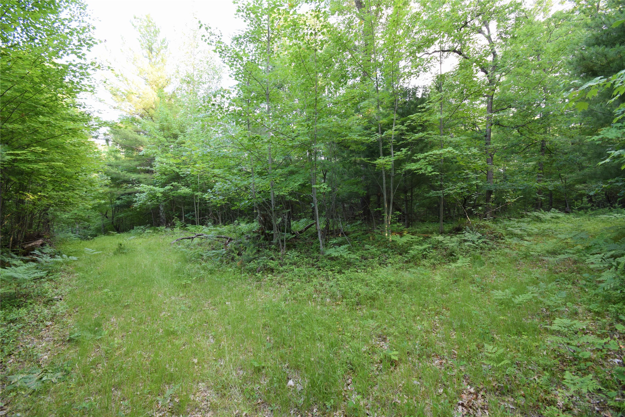7230 County Road U Property Photo 23