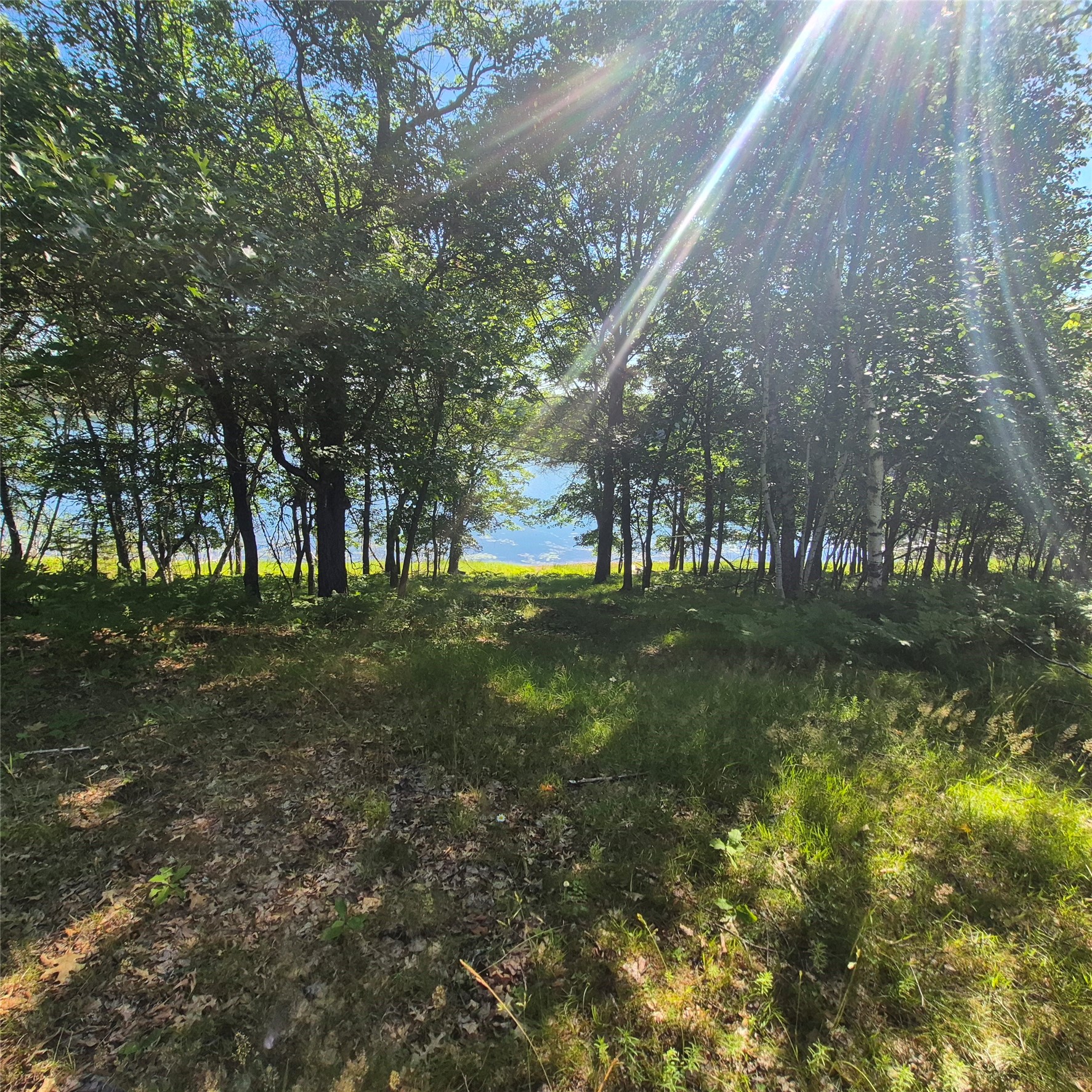 1430 Broken Arrow Trail Property Photo 8