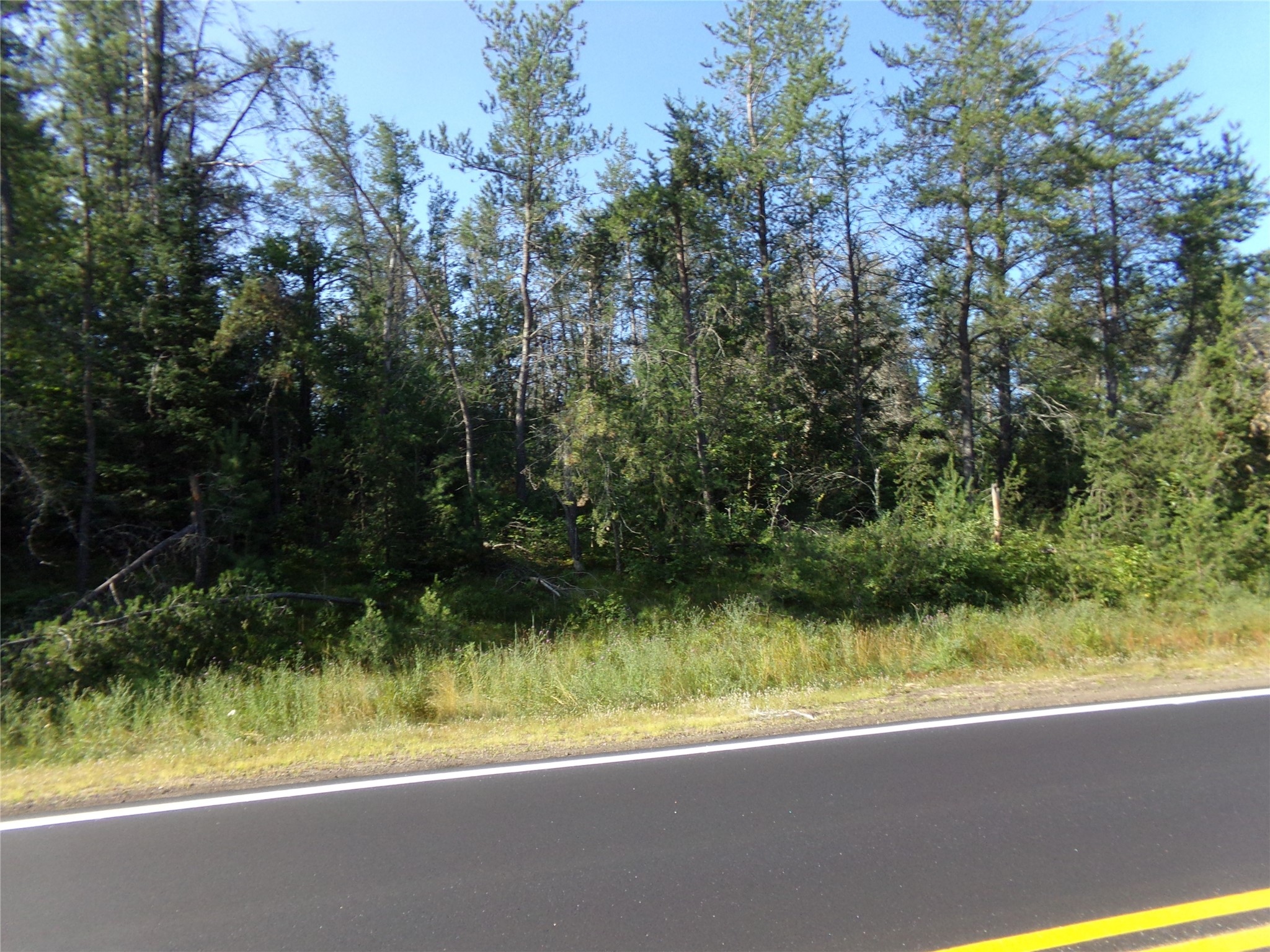 Tbd Baldwin Avenue Property Photo 6