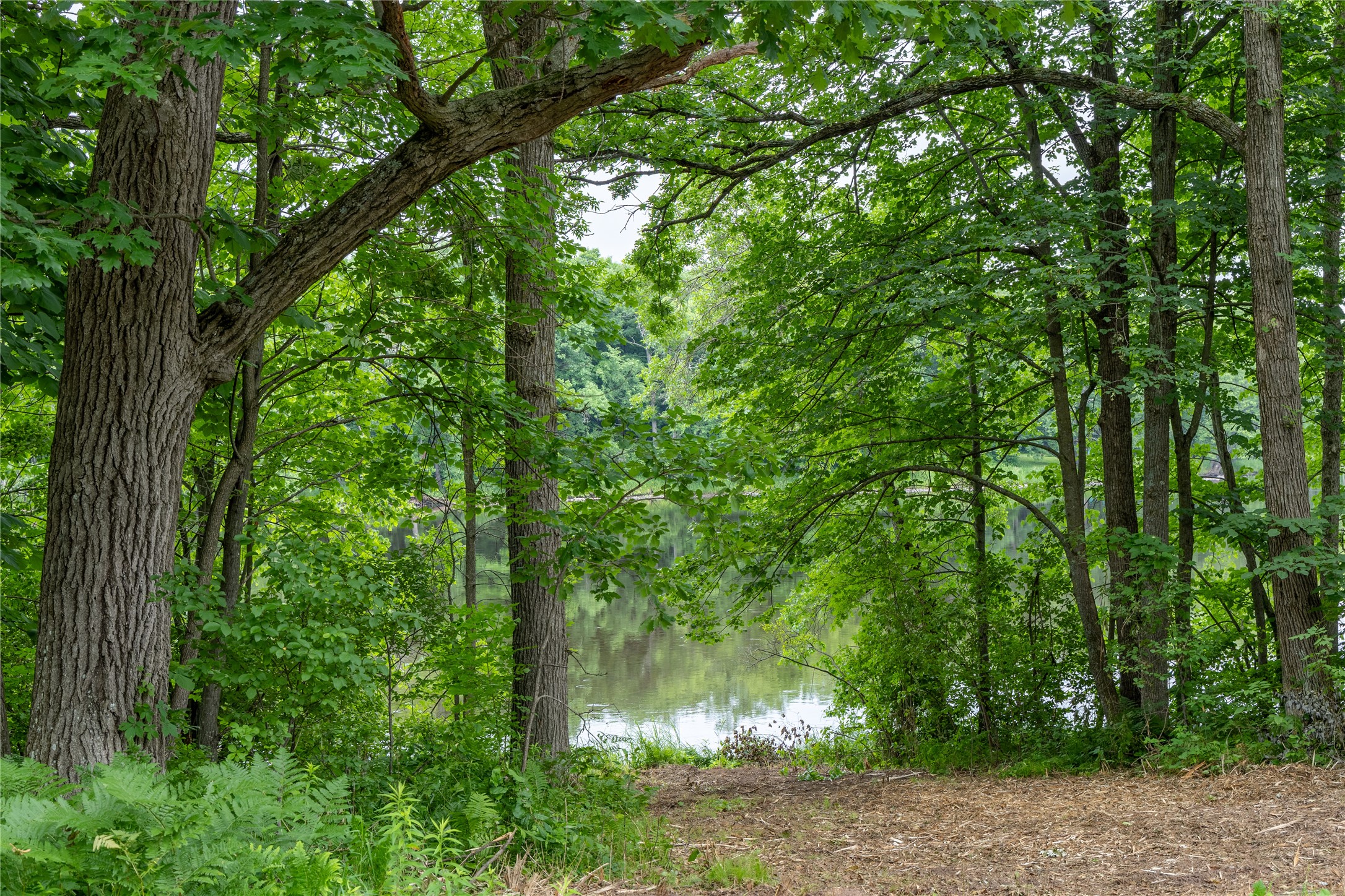 N1297 County Highway E Property Photo 3