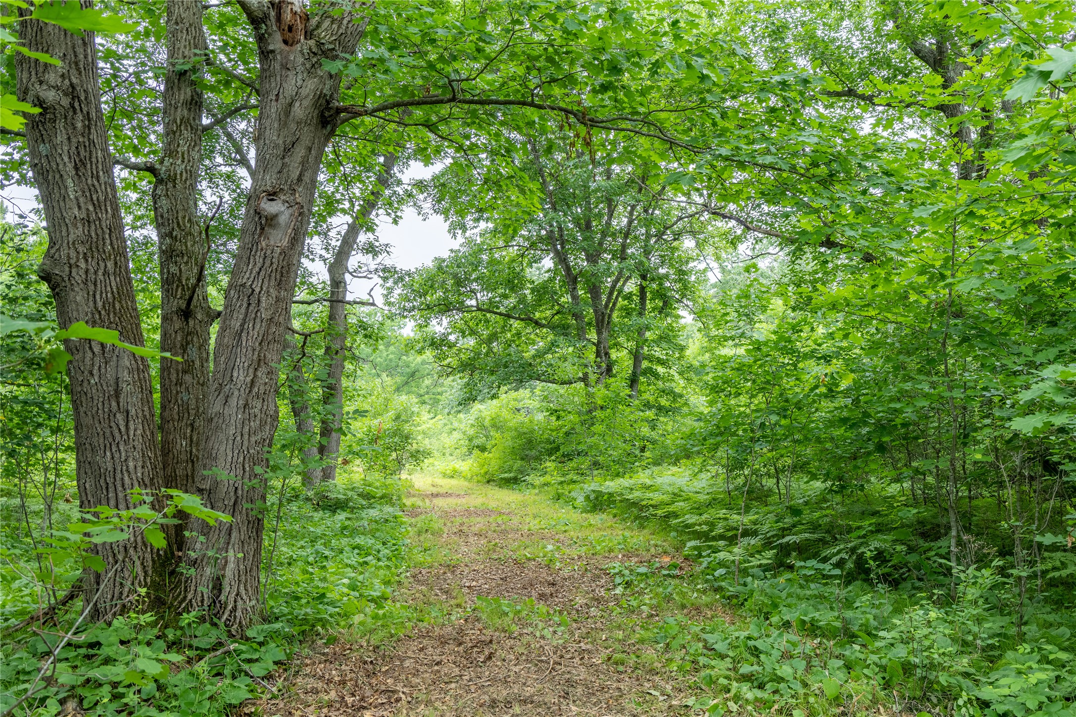 N1297 County Highway E Property Photo 7