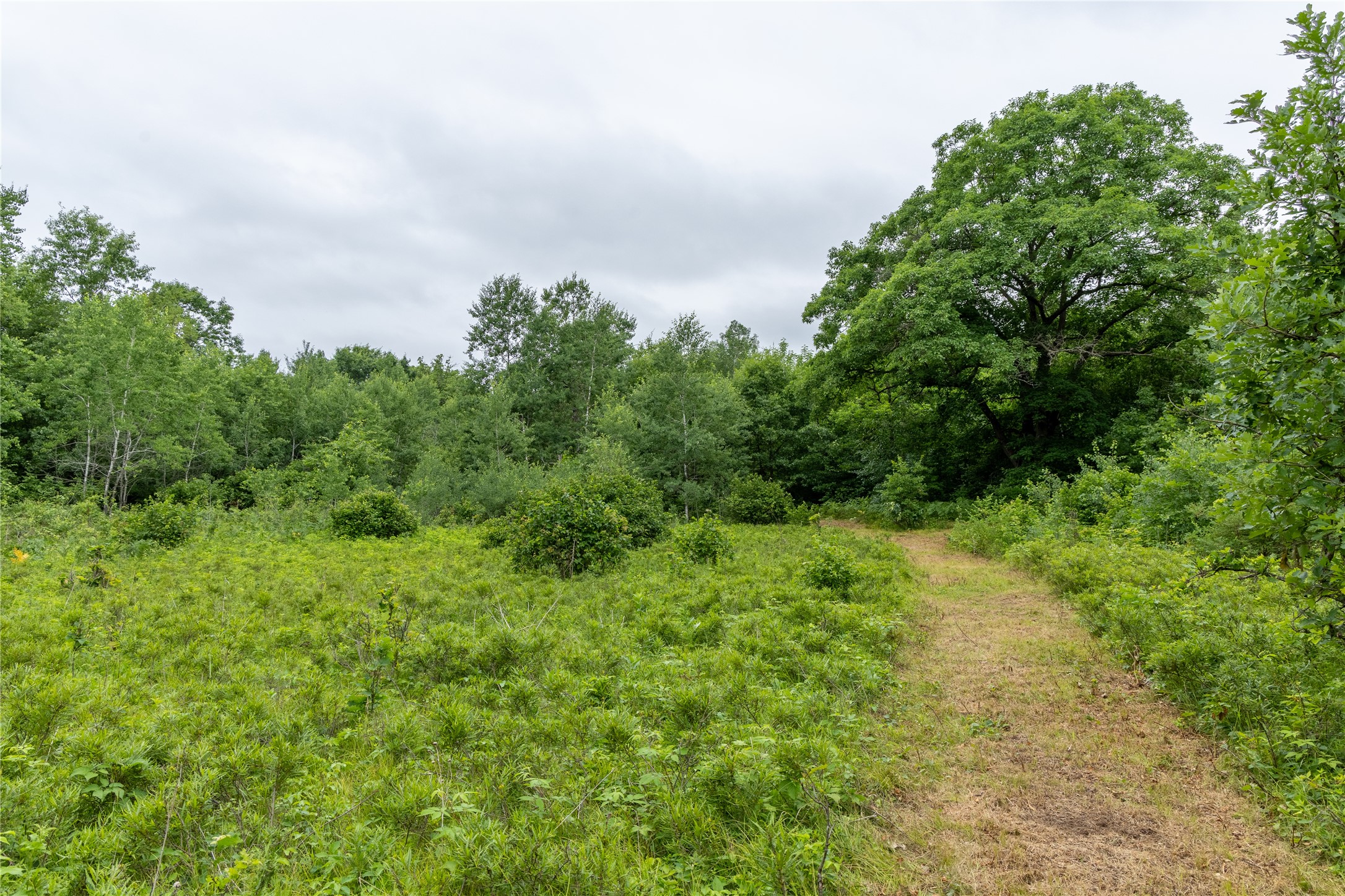N1297 County Highway E Property Photo 8
