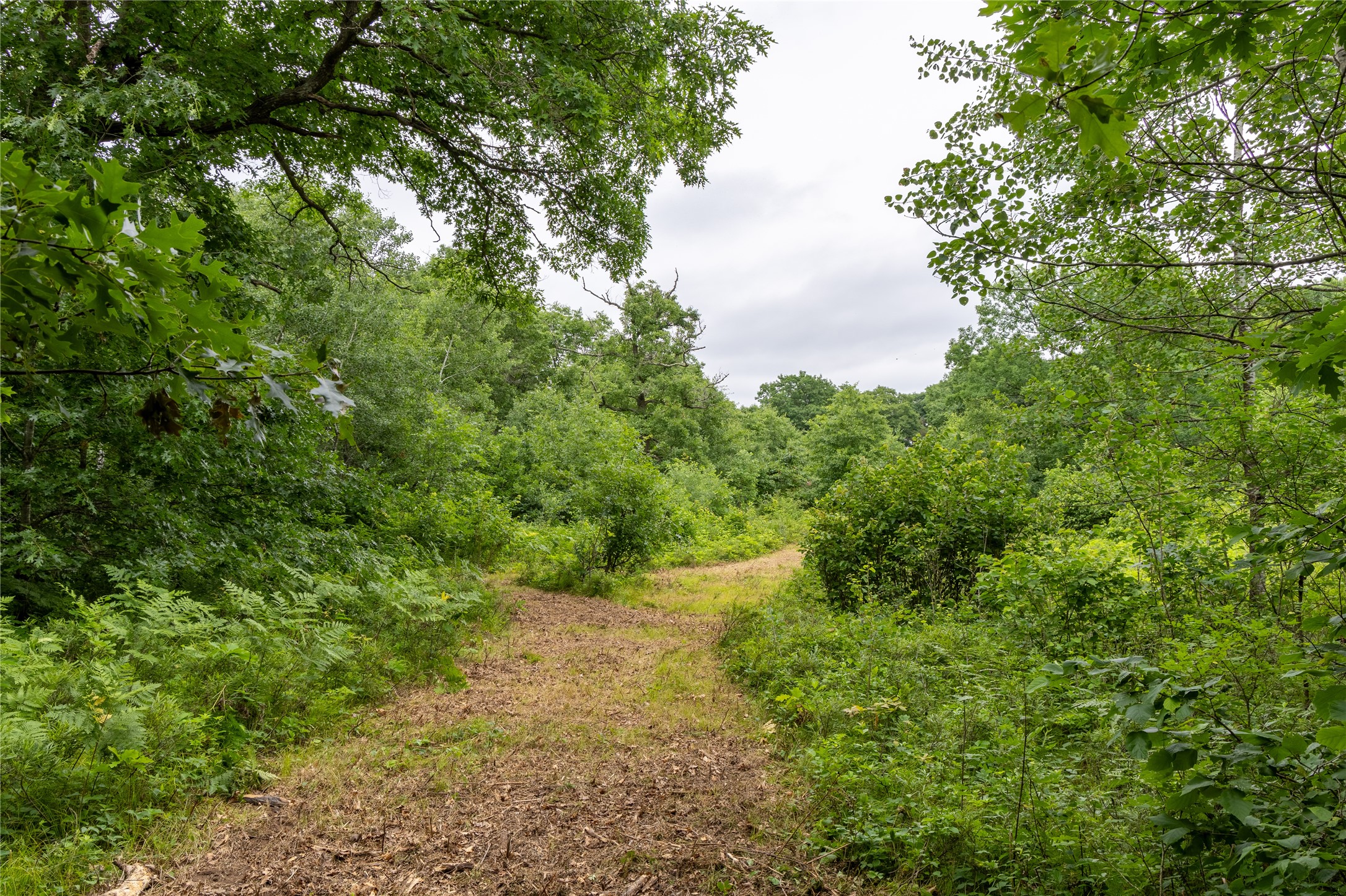 N1297 County Highway E Property Photo 12