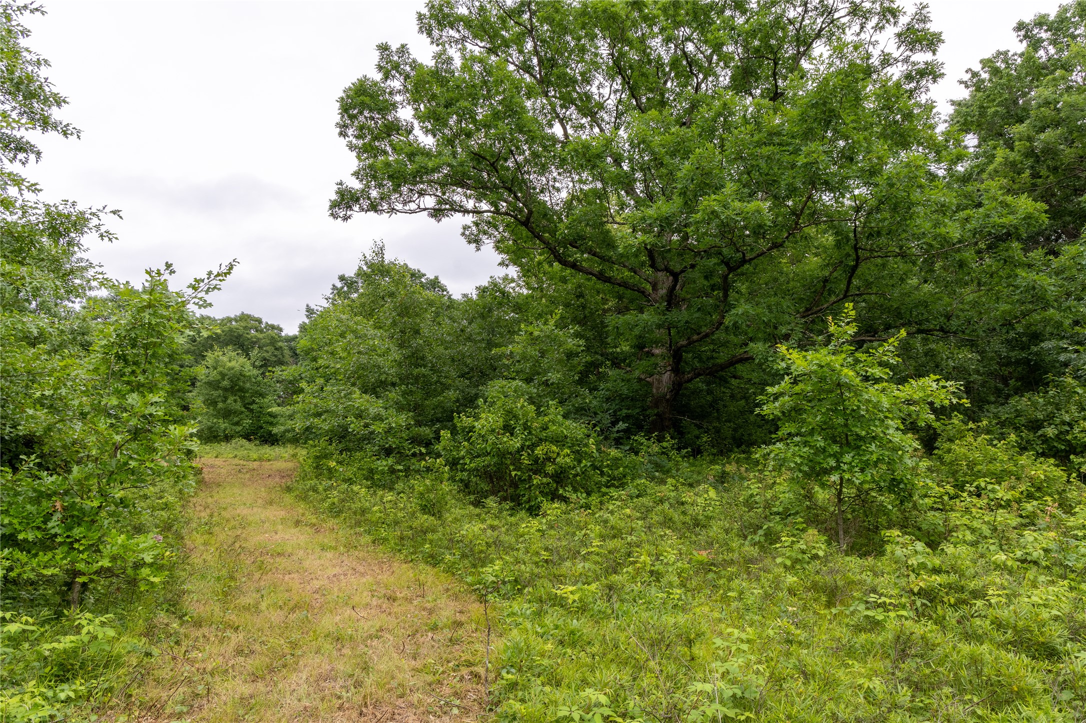 N1297 County Highway E Property Photo 13