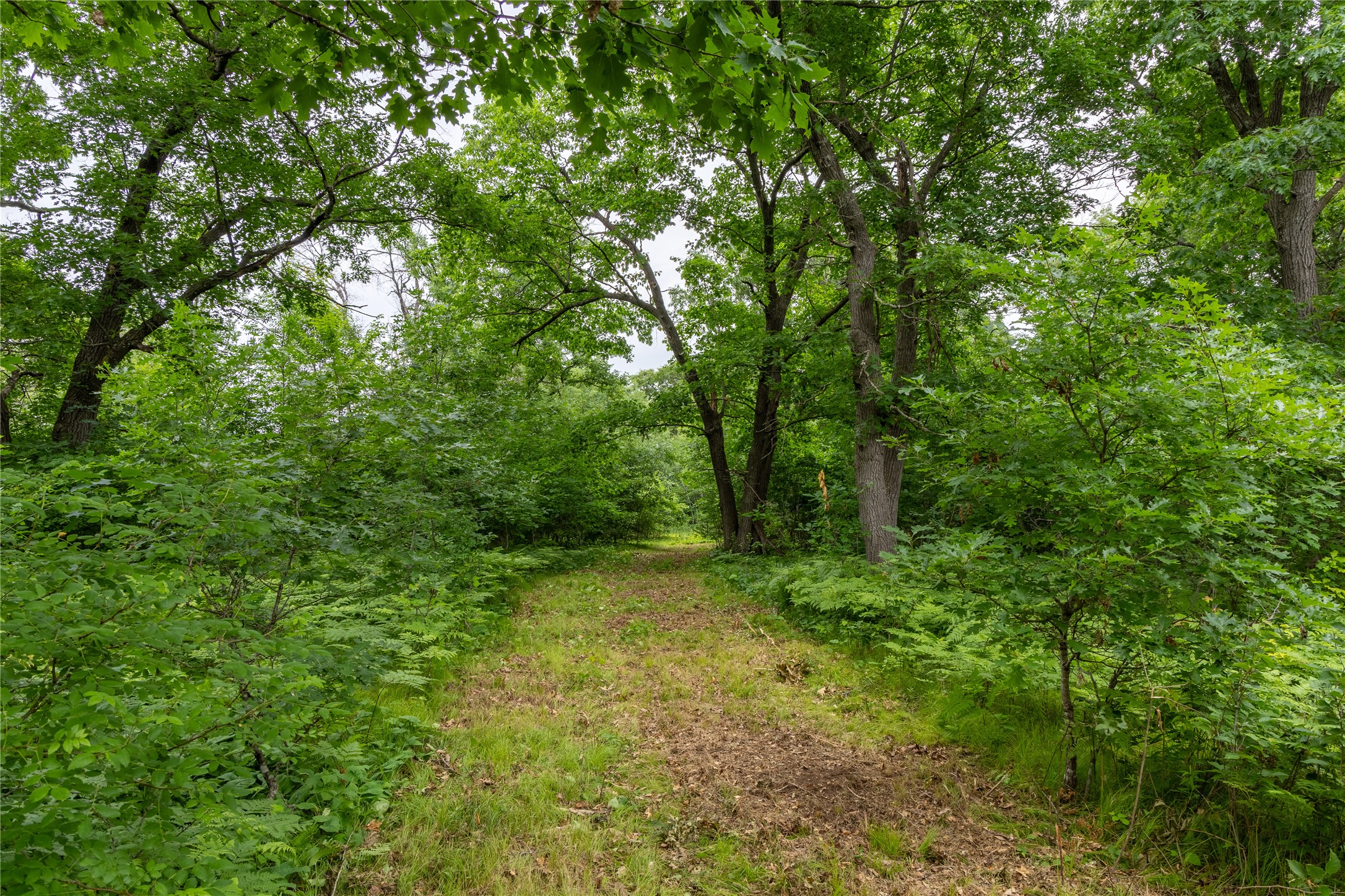 N1297 County Highway E Property Photo 14