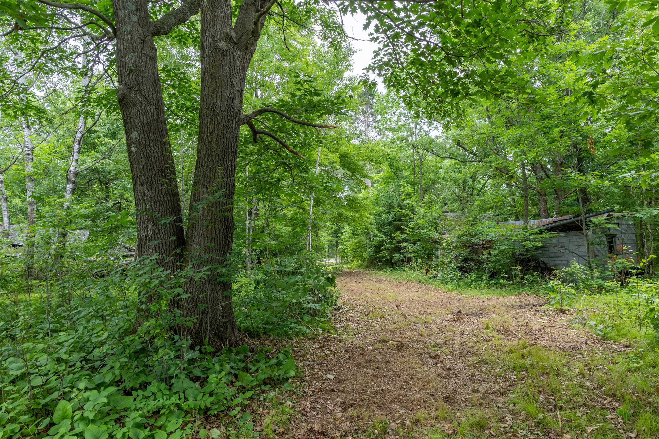 N1297 County Highway E Property Photo 15