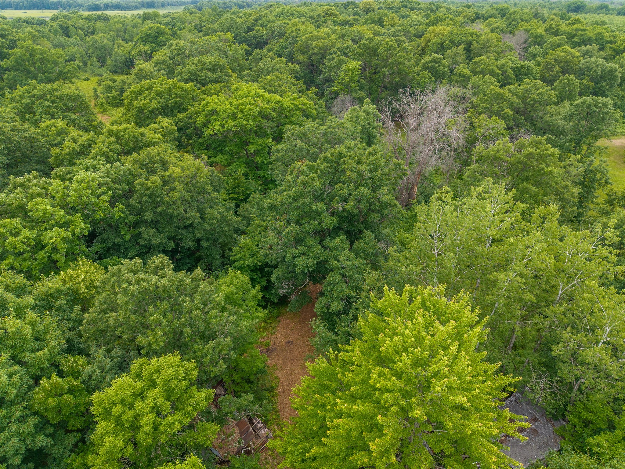N1297 County Highway E Property Photo 18