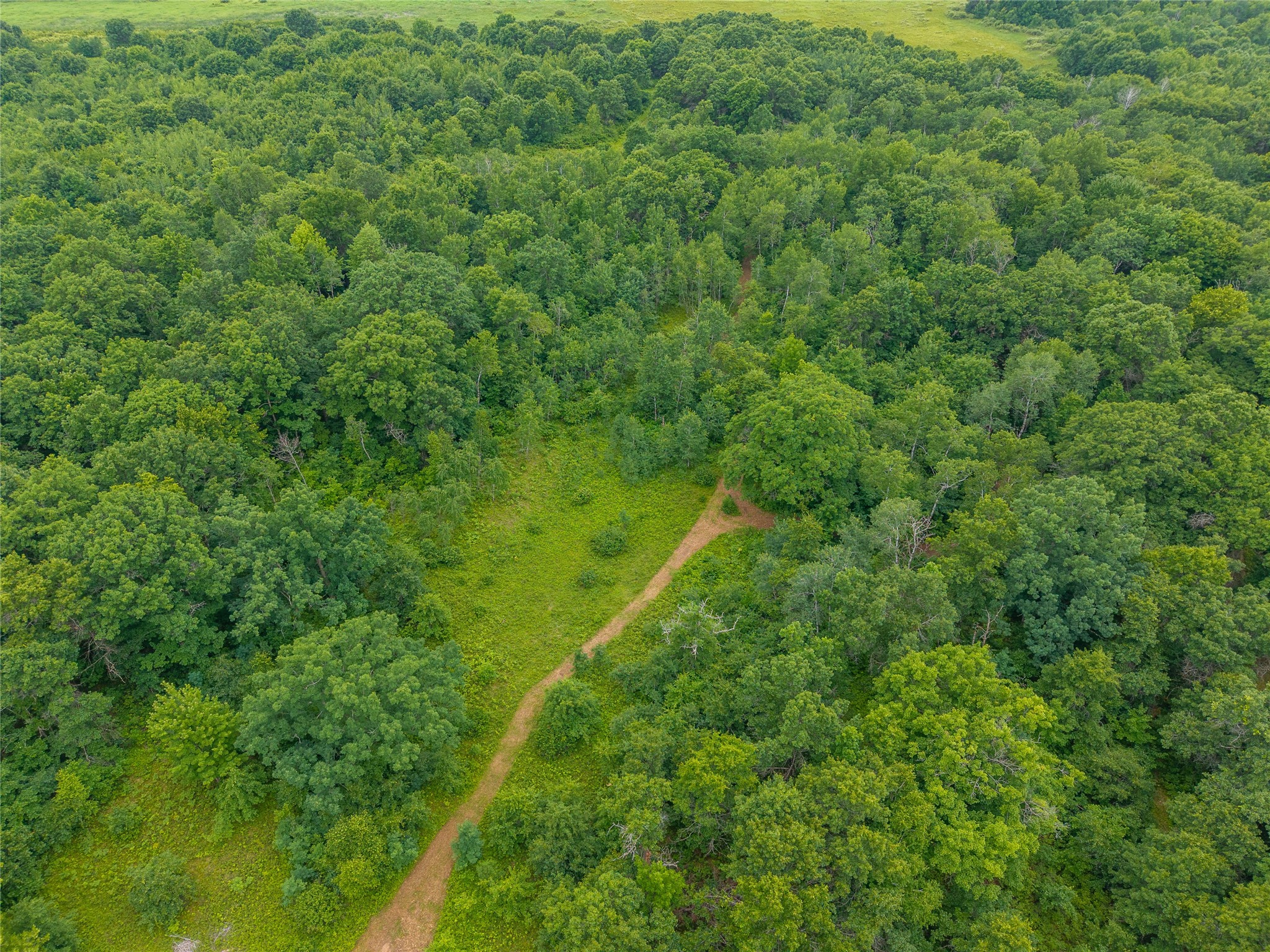 N1297 County Highway E Property Photo 22