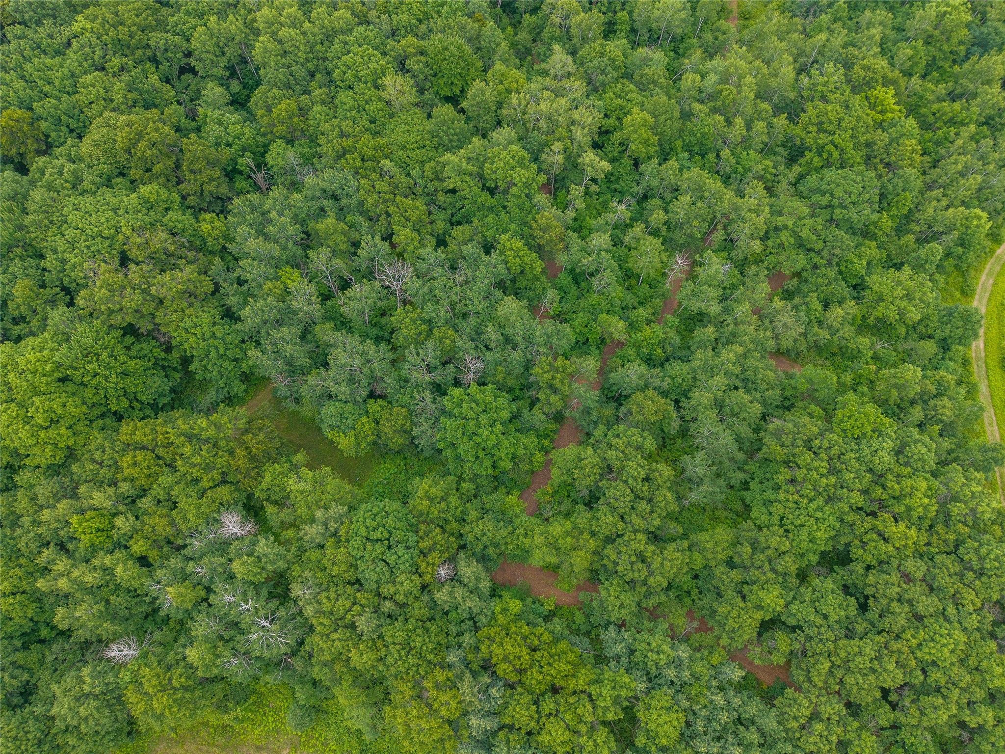 N1297 County Highway E Property Photo 24