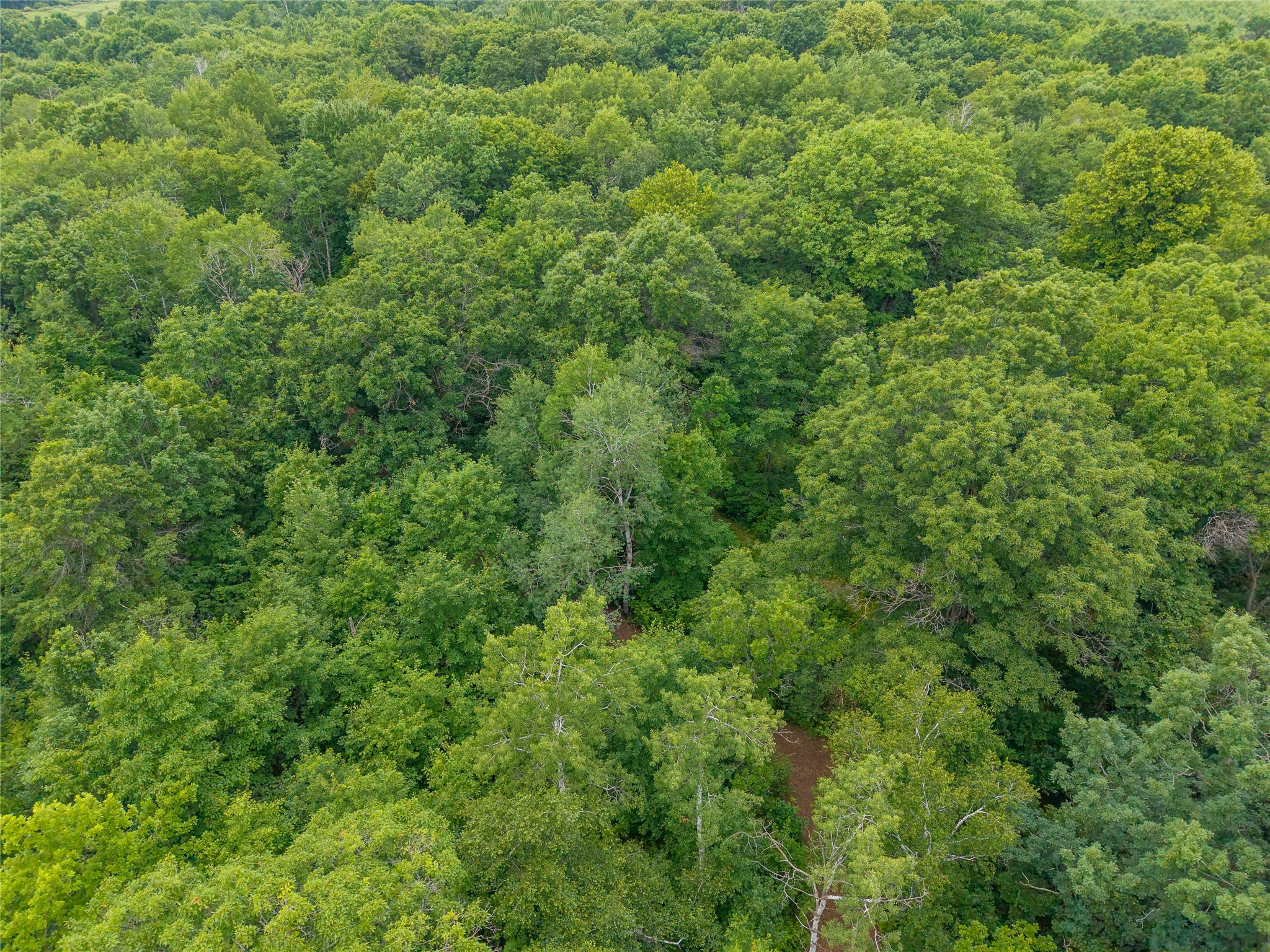 N1297 County Highway E Property Photo 28