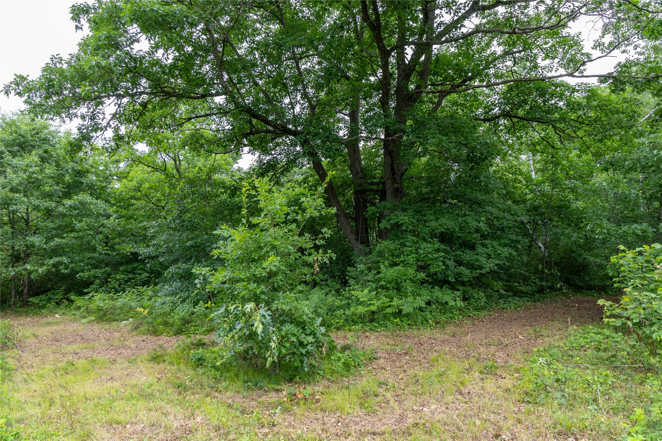 N1297 County Highway E Property Photo 38