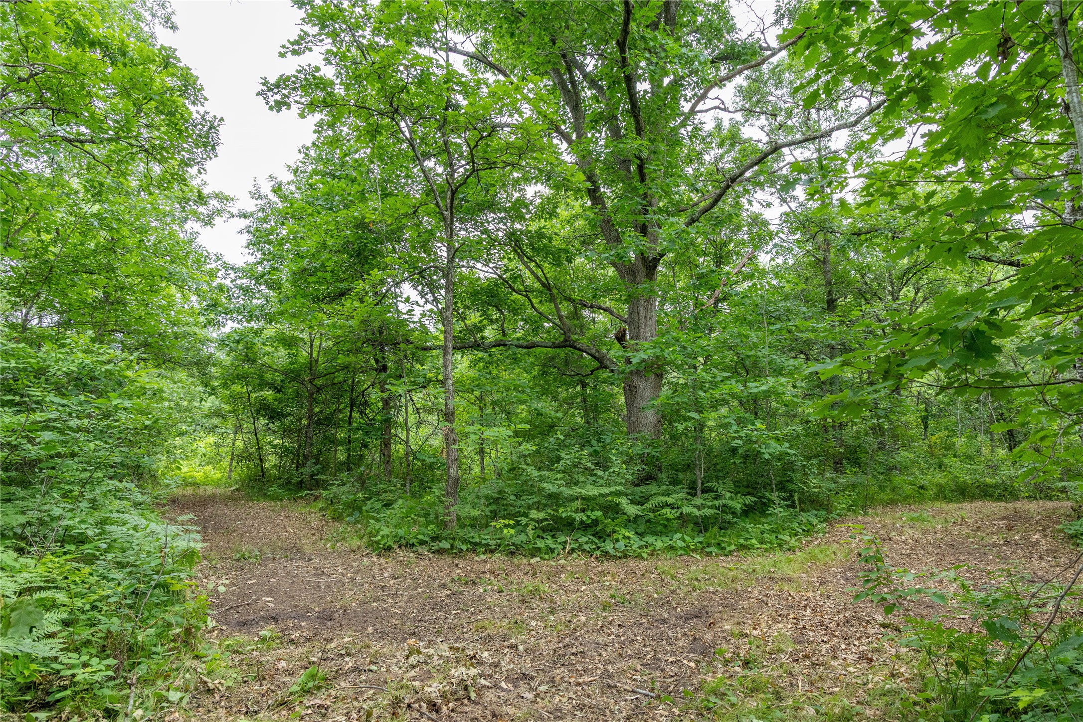 N1297 County Highway E Property Photo 43