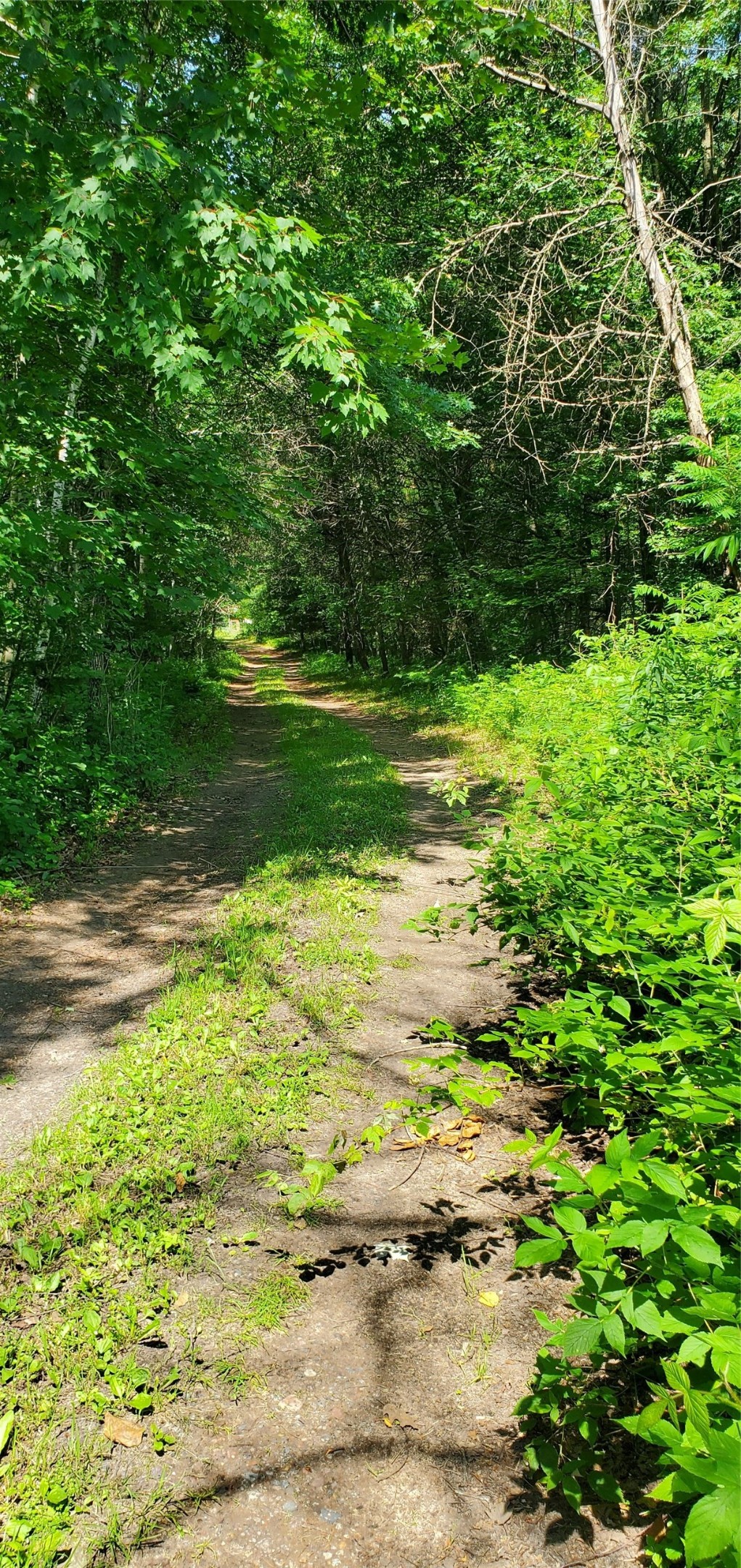 0 County Highway D Property Photo 7