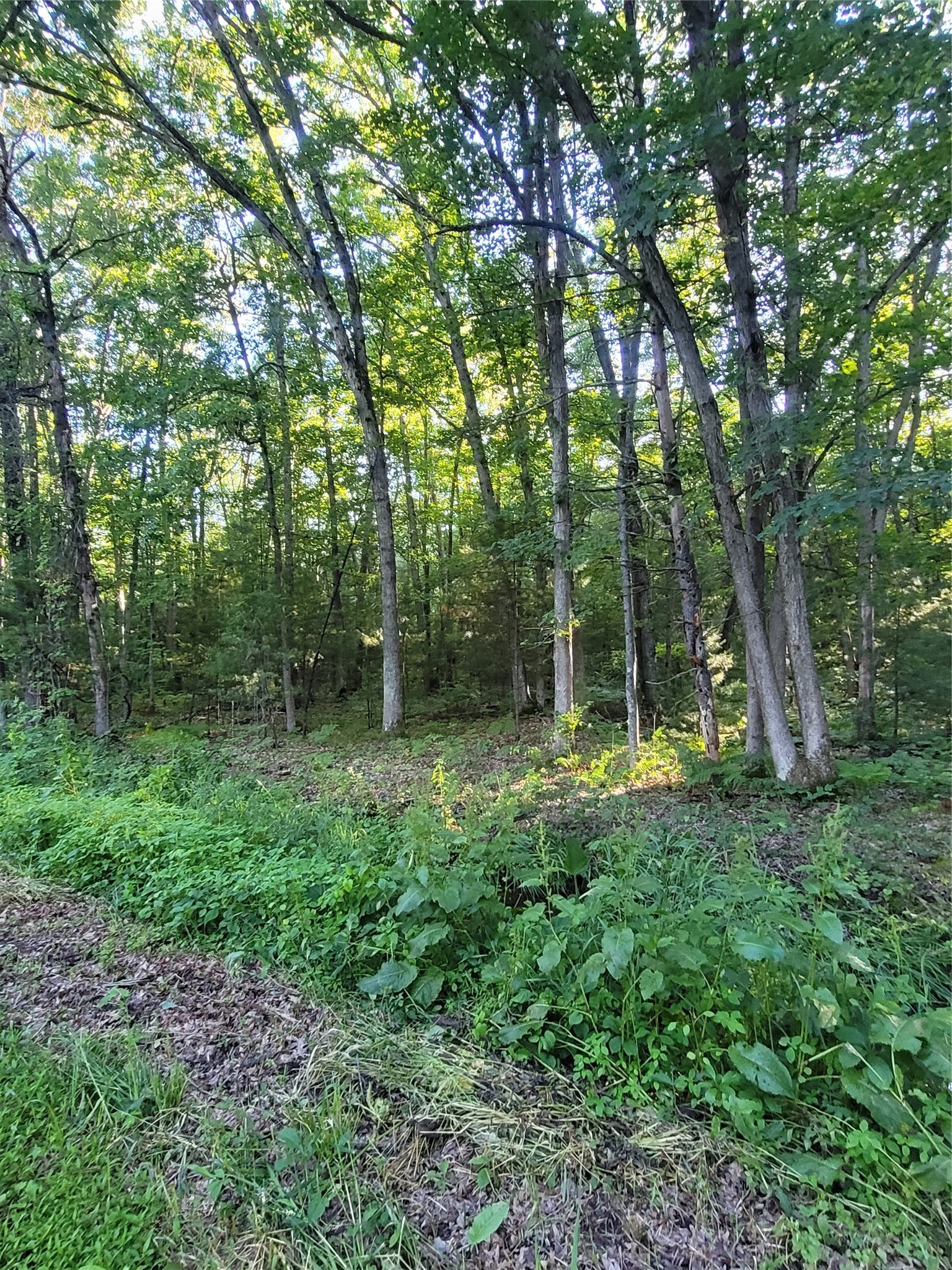 00 Lot 5 Old Highway 12 Property Photo 3