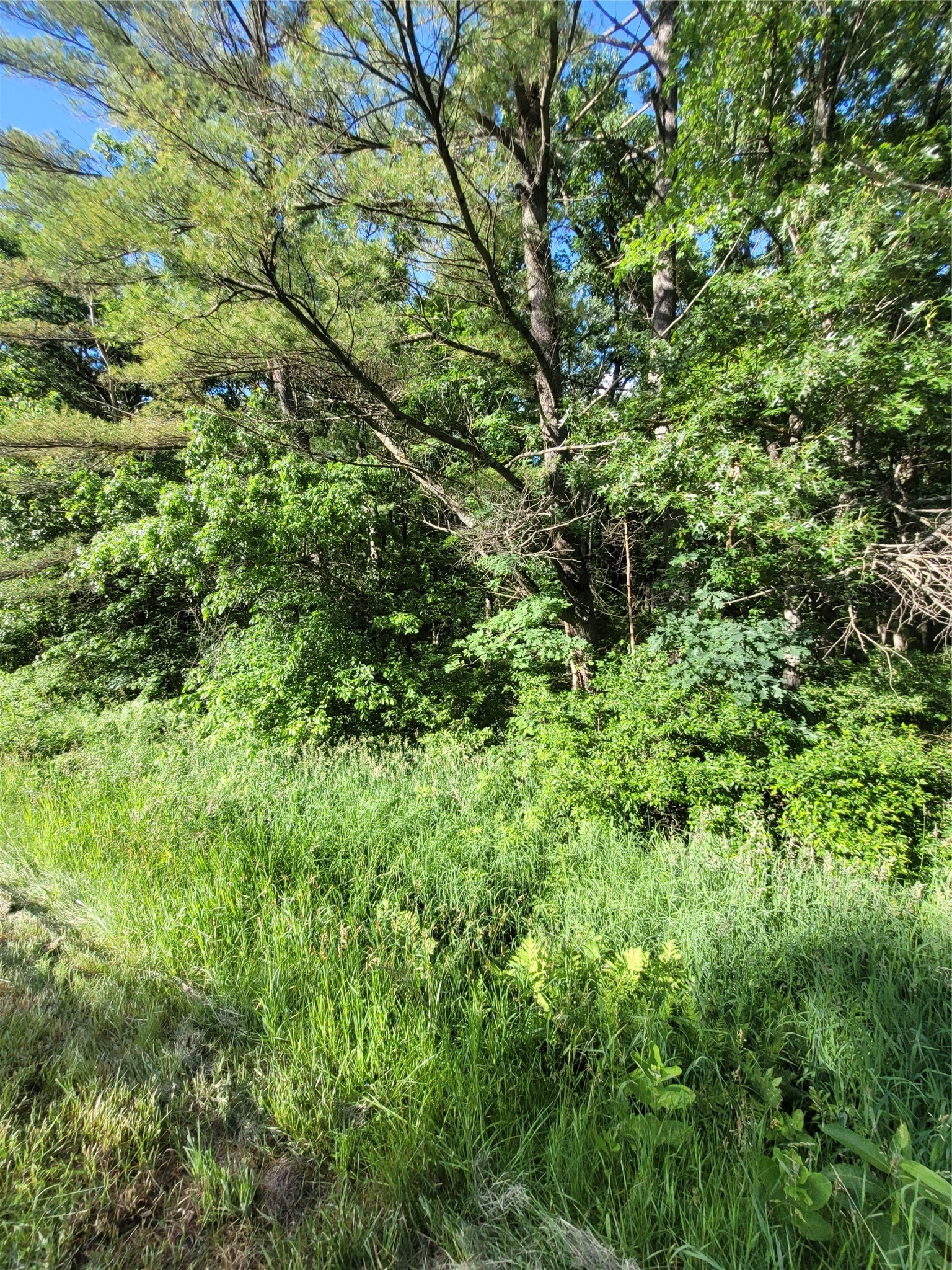 00 Lot 5 Old Highway 12 Property Photo 7
