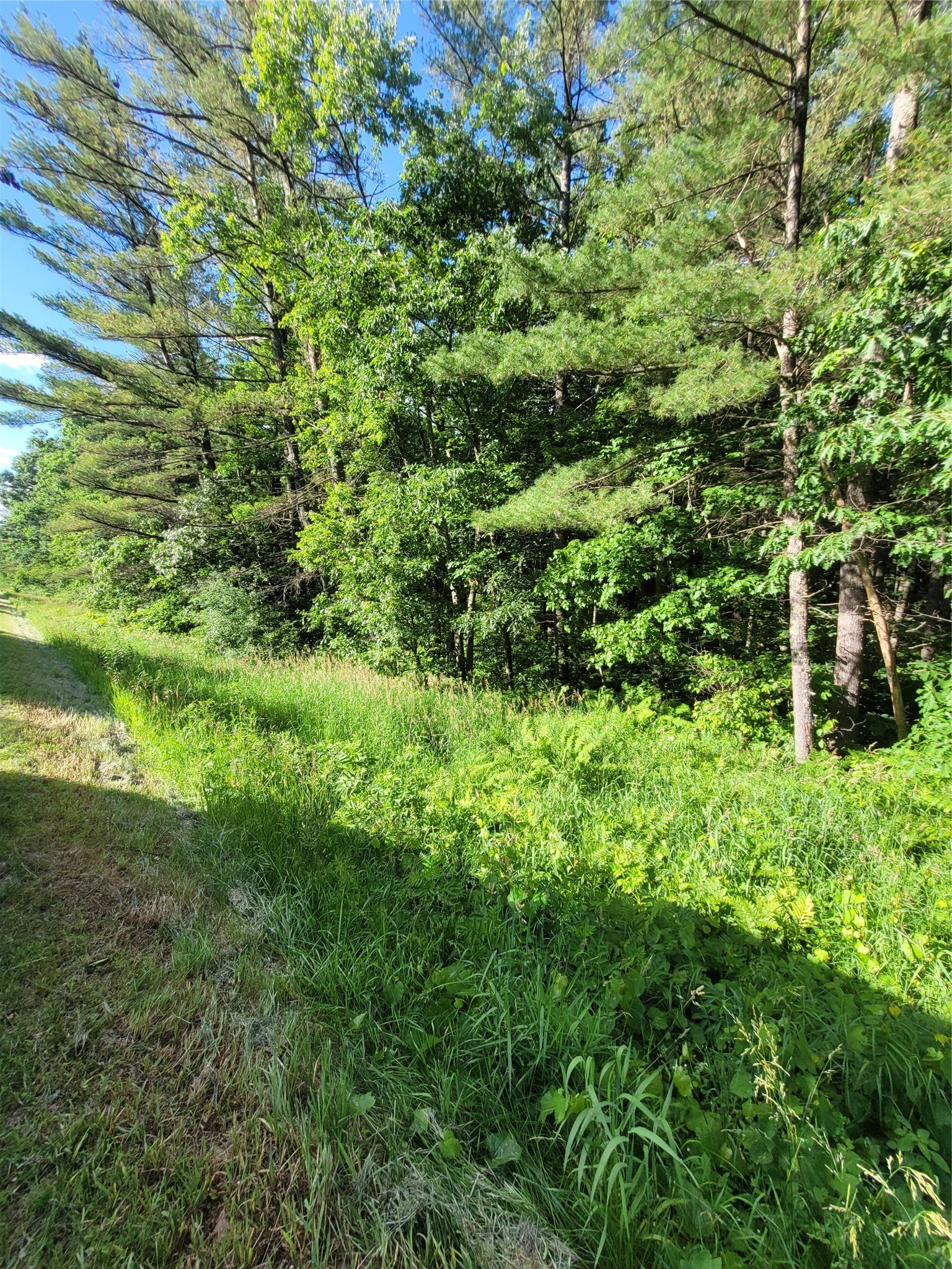 00 Lot 5 Old Highway 12 Property Photo 8