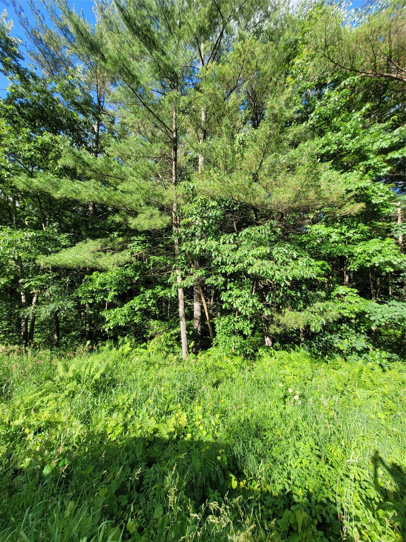 00 Lot 5 Old Highway 12 Property Photo 9