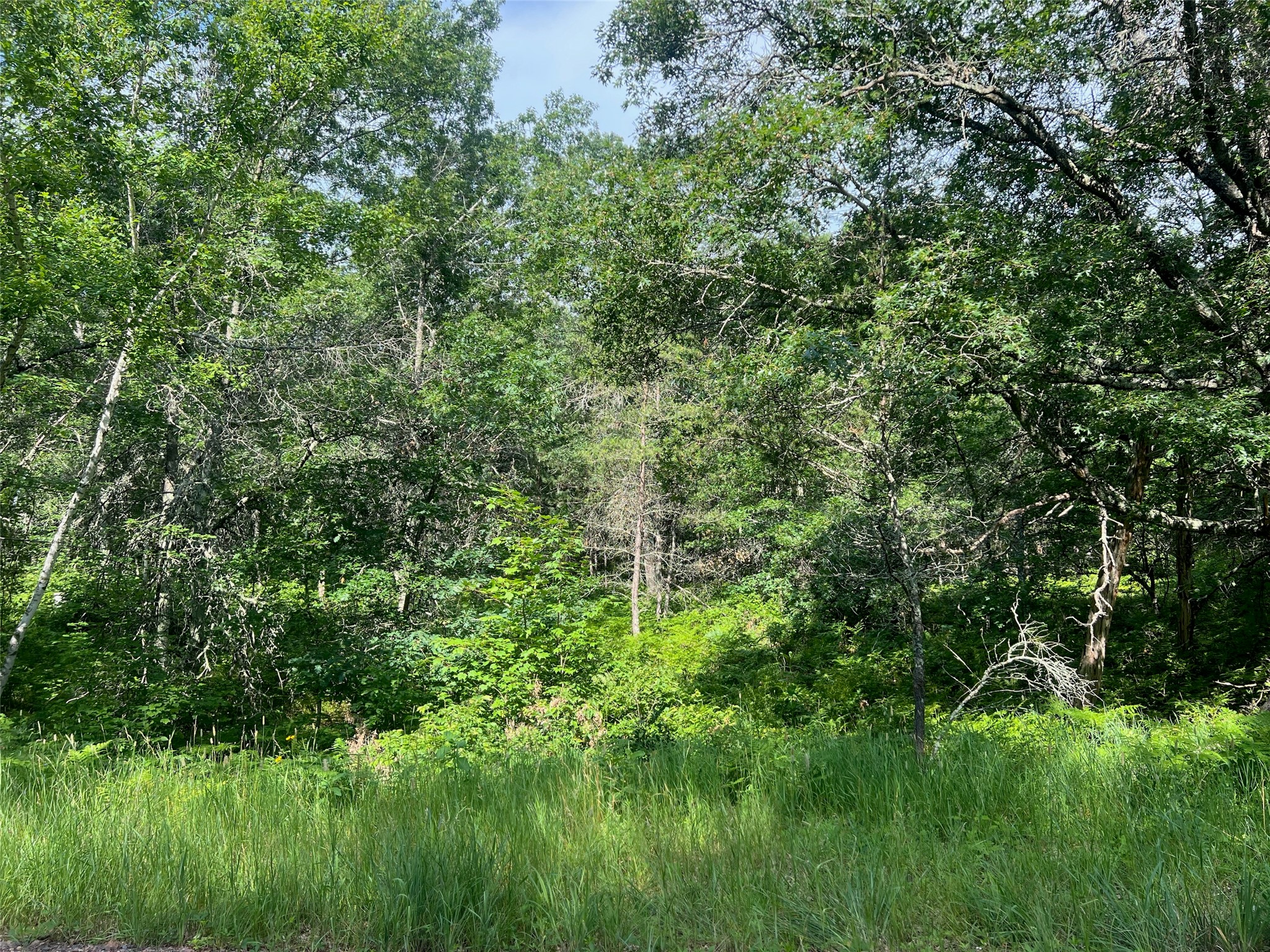 Lot 79 Setting Sun Drive Property Photo 14