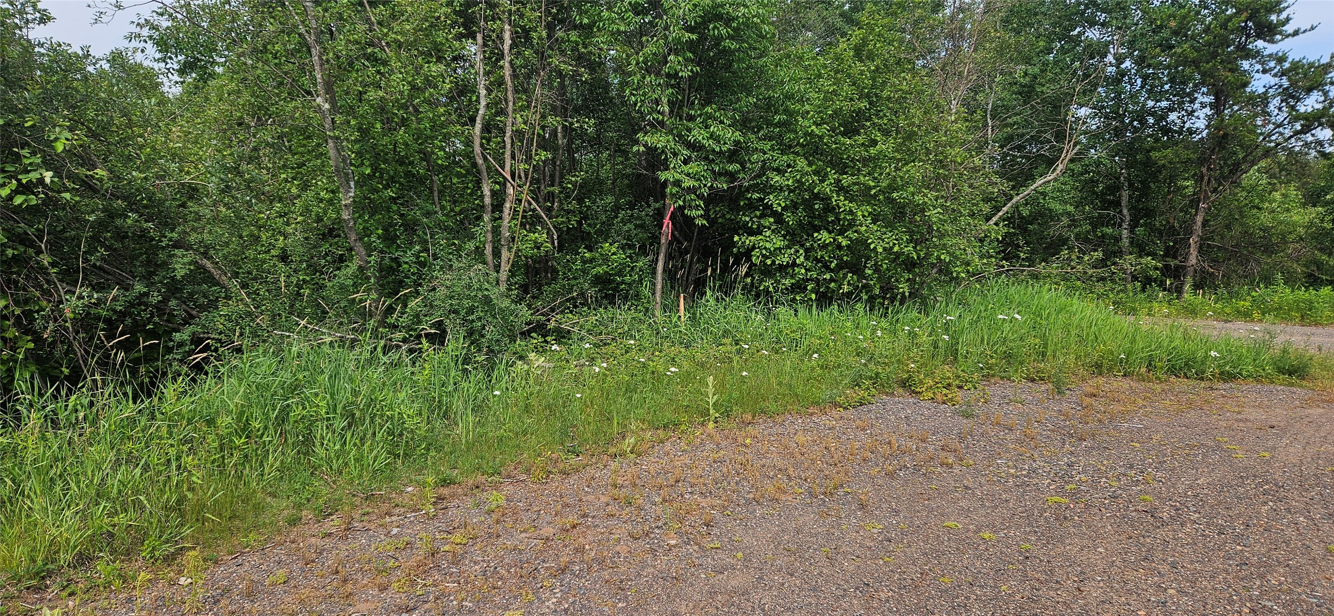Lot A Windrose Lane Property Photo 3