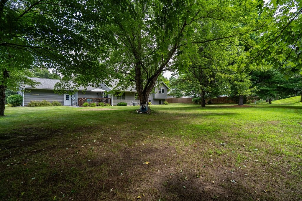 808 Elm Street Property Photo 43