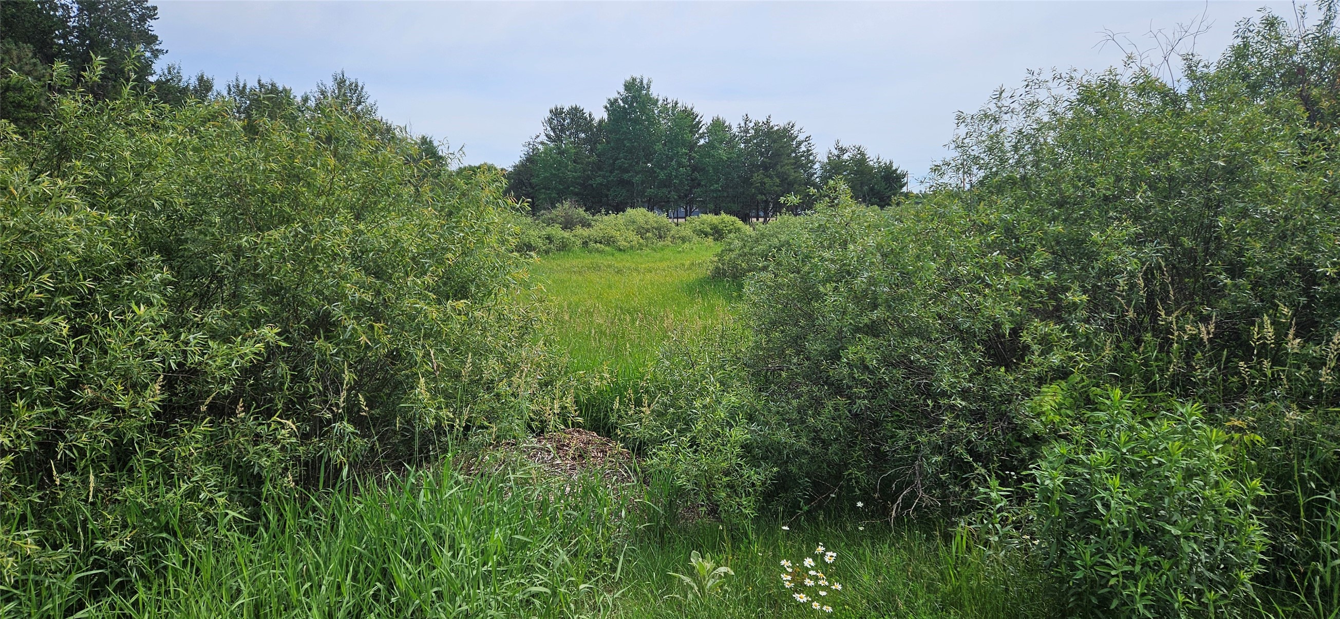 Lot B Windrose Lane Property Photo 3